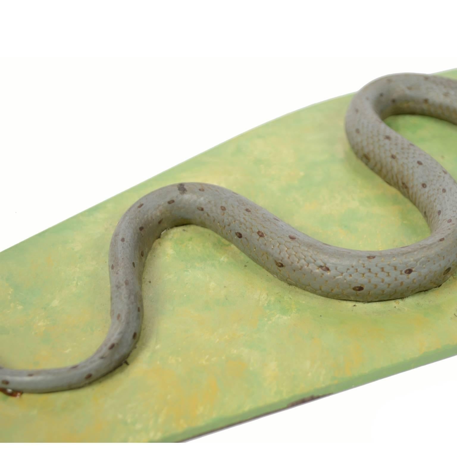Antikes wissenschaftliches Modell der nicht-gegenständlichen Schlange der Natricidae-Familie 1950er Jahre (Mitte des 20. Jahrhunderts) im Angebot