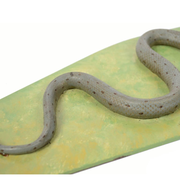 Mid-20th Century Antique Scientific Model of the Non-Poisonous Snake of Natricidae Family 1950s For Sale