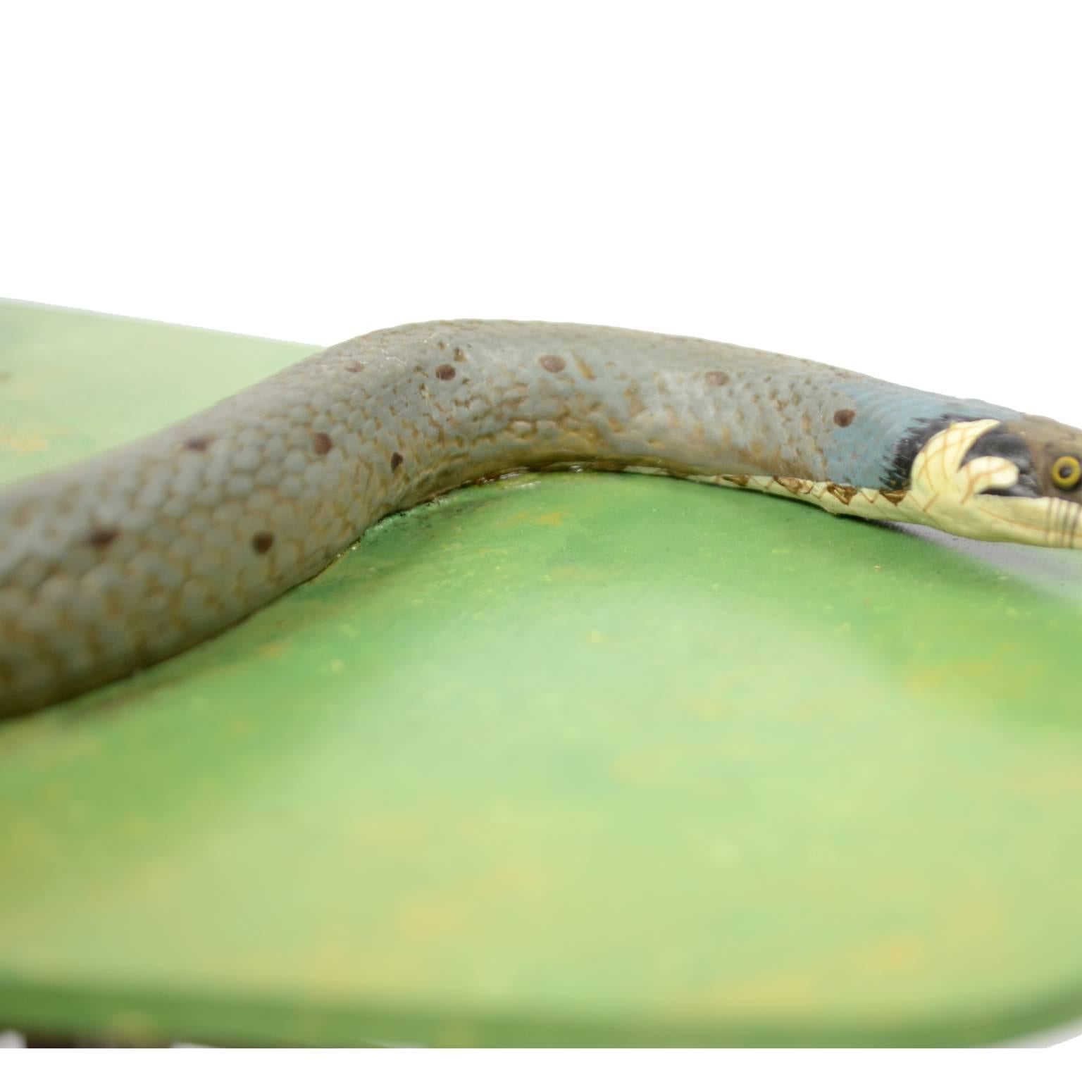 Antikes wissenschaftliches Modell der nicht-gegenständlichen Schlange der Natricidae-Familie 1950er Jahre im Angebot 1