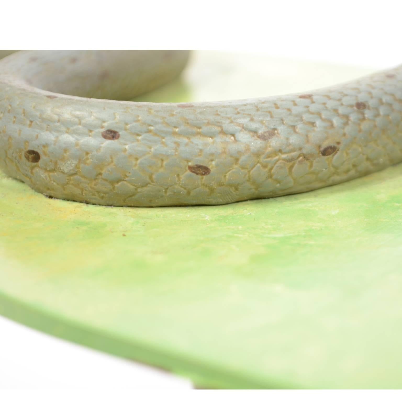 Antikes wissenschaftliches Modell der nicht-gegenständlichen Schlange der Natricidae-Familie 1950er Jahre im Angebot 2