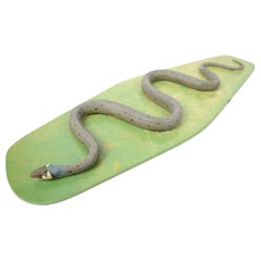 Antique Scientific Model of the Non-Poisonous Snake of Natricidae Family 1950s
