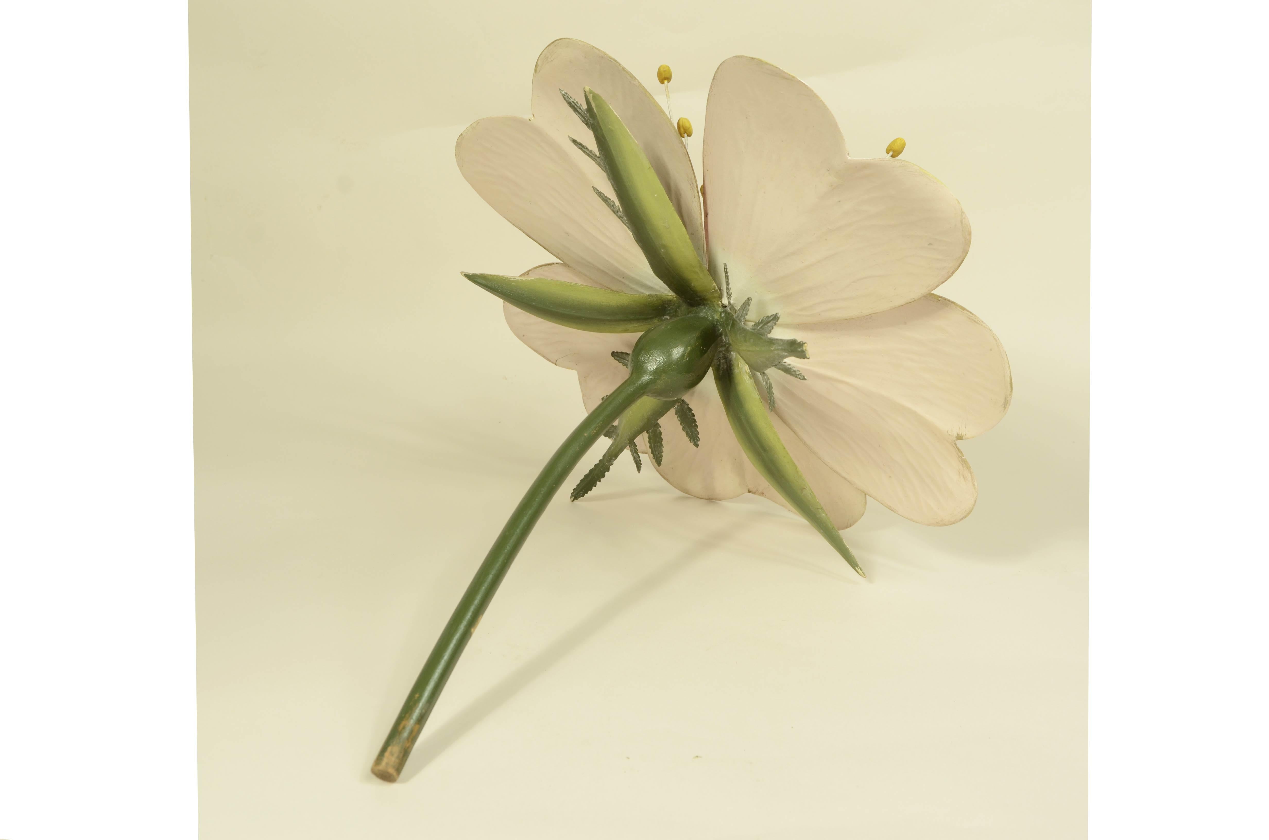 Modello botanico doppio del fiore della Rosa Canina Robert Brendel fine XIX sec. in vendita 5