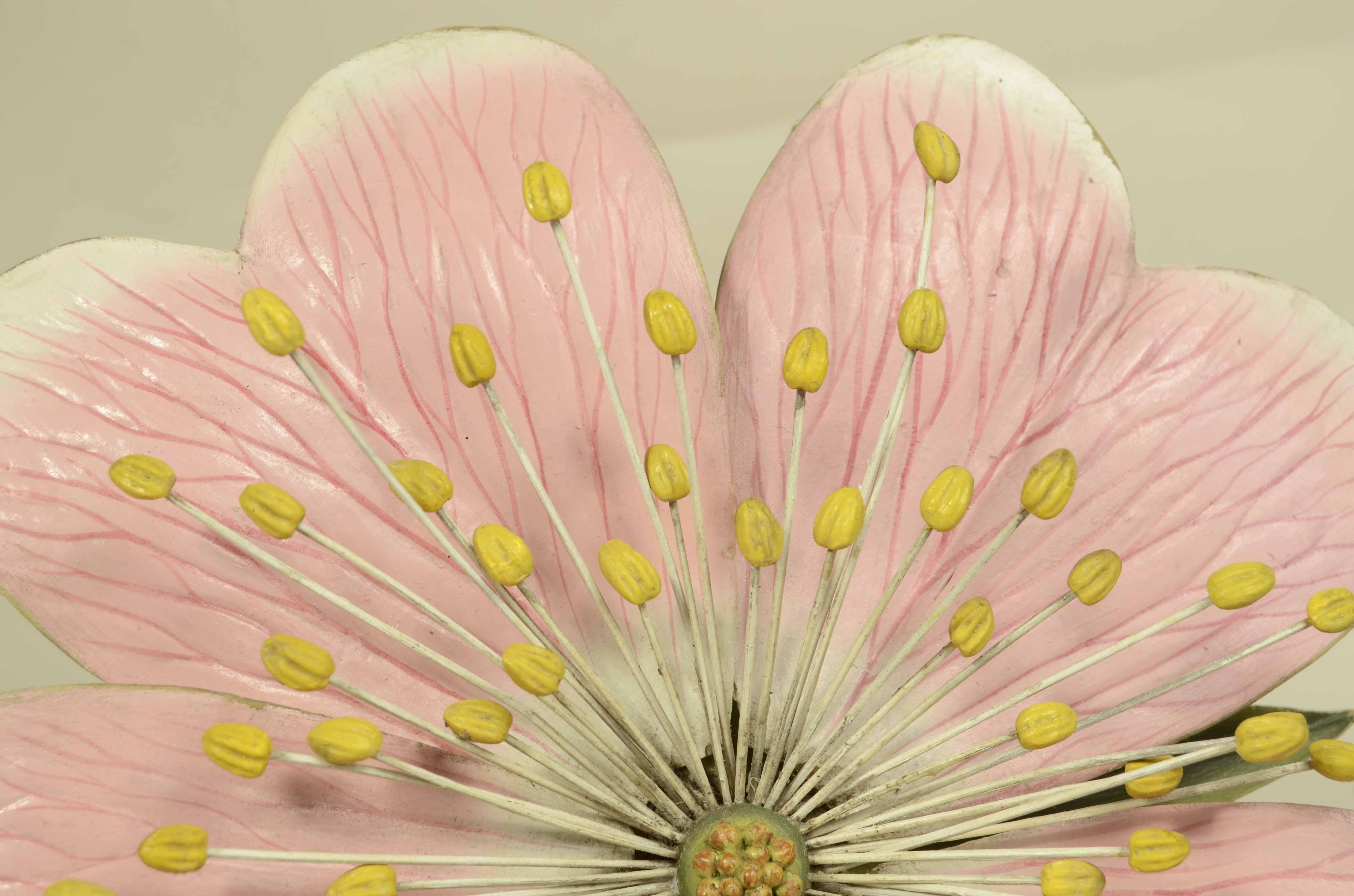 Modello botanico doppio del fiore della Rosa Canina Robert Brendel fine XIX sec. in vendita 3