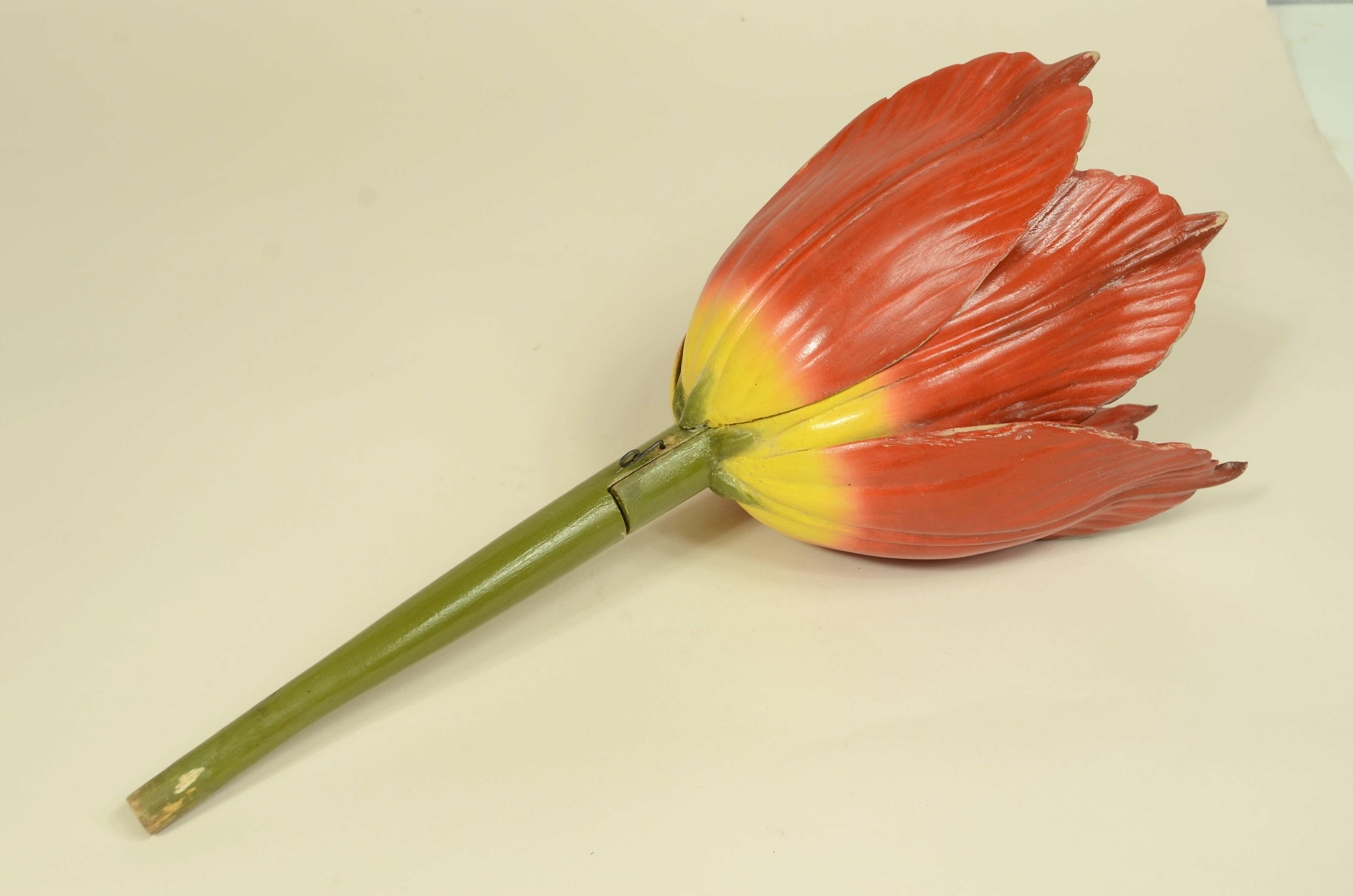 Modello botanico originale del fiore del Tulipano Robert Brendel fine XIX secolo in vendita 2
