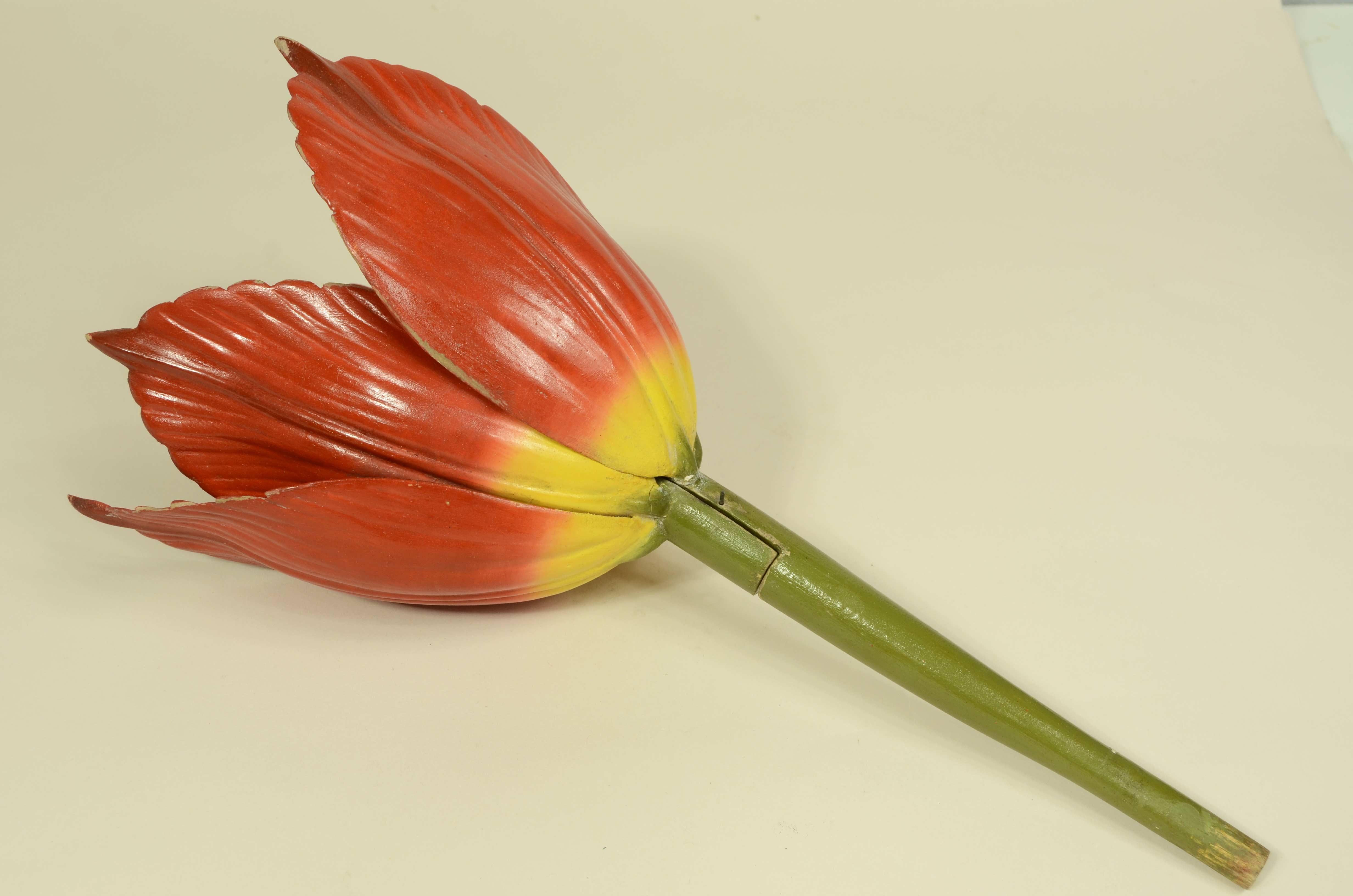 Modello botanico originale del fiore del Tulipano Robert Brendel fine XIX secolo in vendita 3