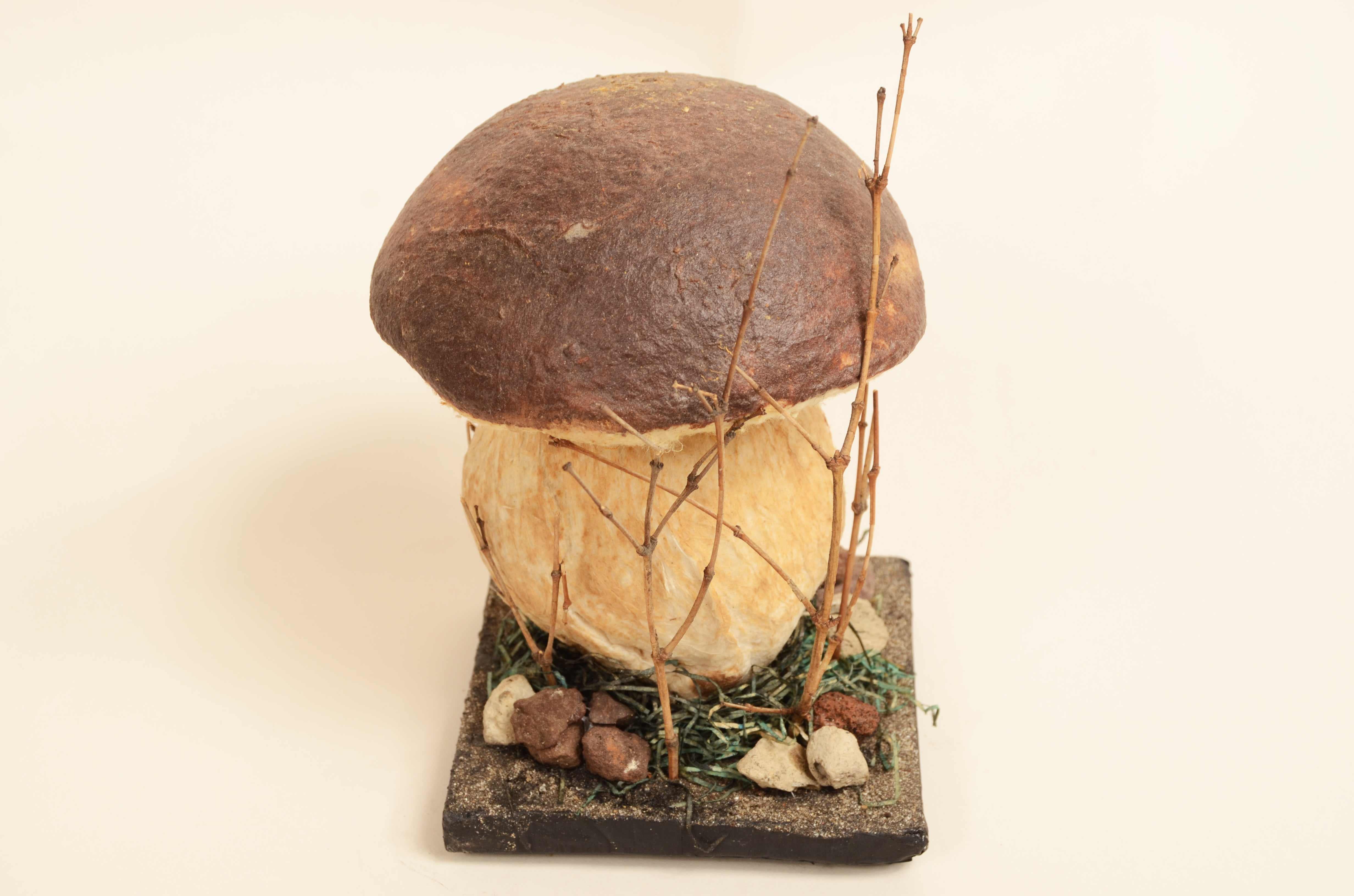Modello didattico Boletus Reticulatus conosciuto come Boletus Aestivalis 1950s in vendita 1