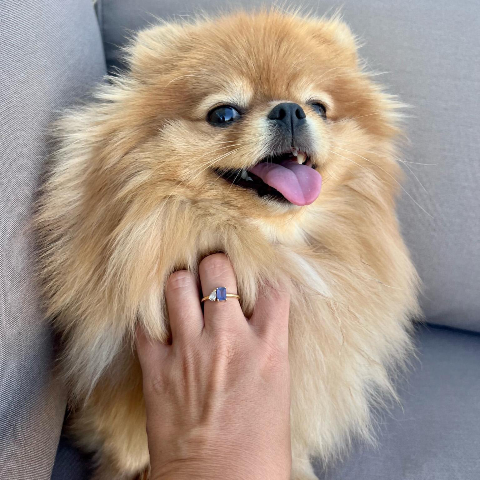 En vente :  Bague moderne en or jaune 18 carats avec une tanzanite taille émeraude et un diamant taille poire 3