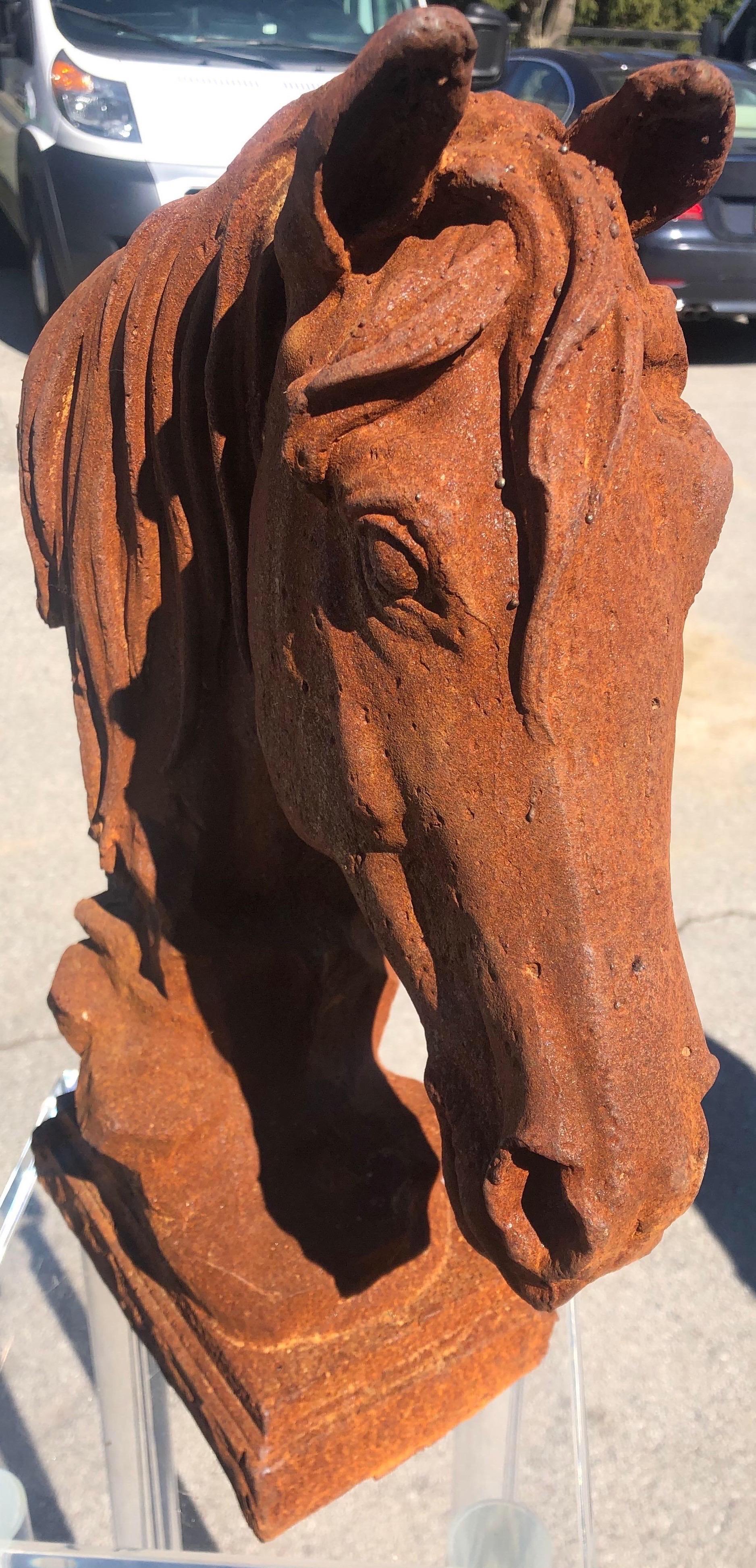 Modern 20th Century Cast Iron Horse Head Sculpture In Good Condition In Charleston, SC