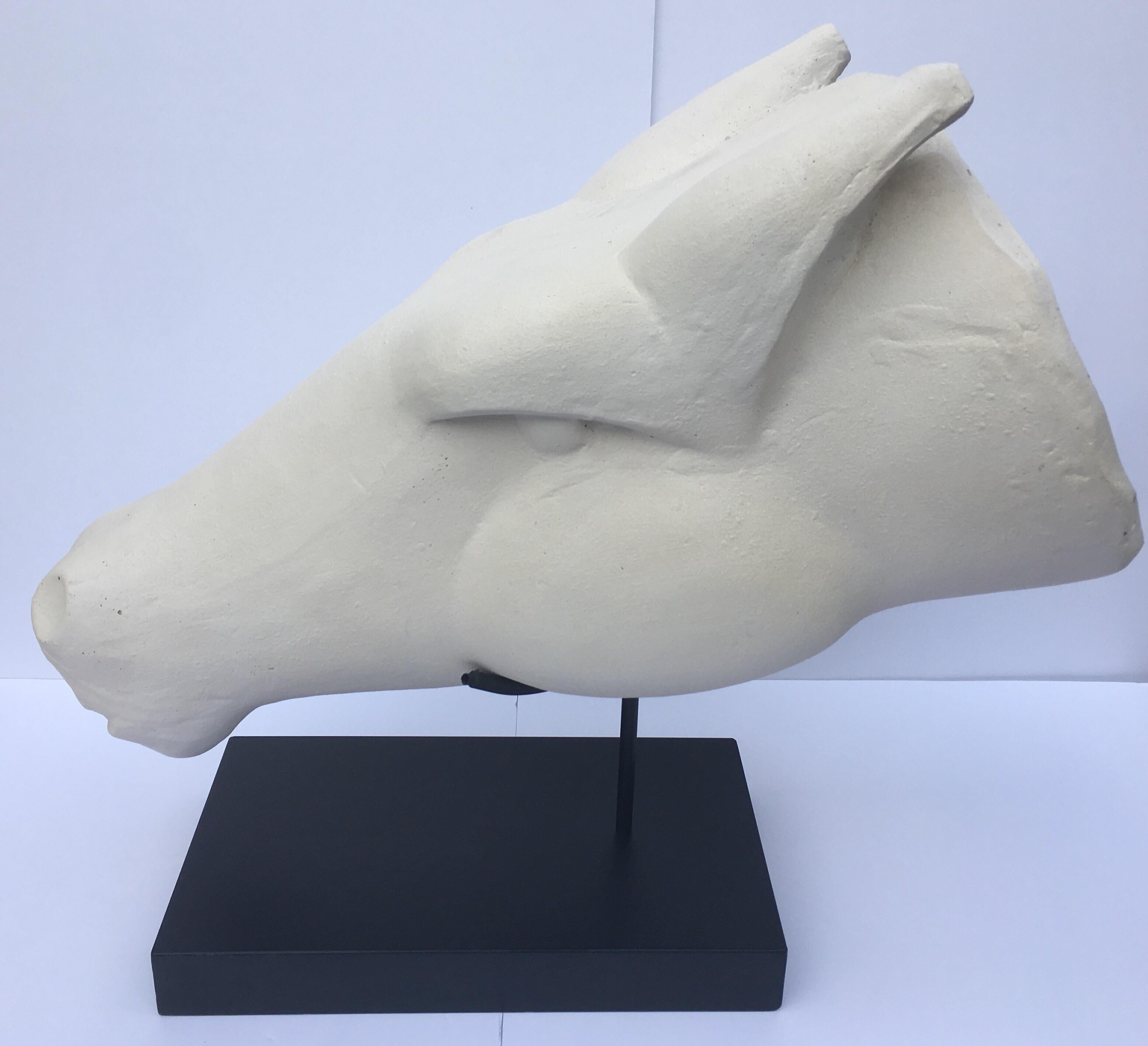 Large dramatic plaster horse head animal bust sculpture featuring a matte white/cream textured finish. This abstract tabletop equestrian art piece is constructed of a heavy weight plaster composition and is displayed on a black metal Stand.