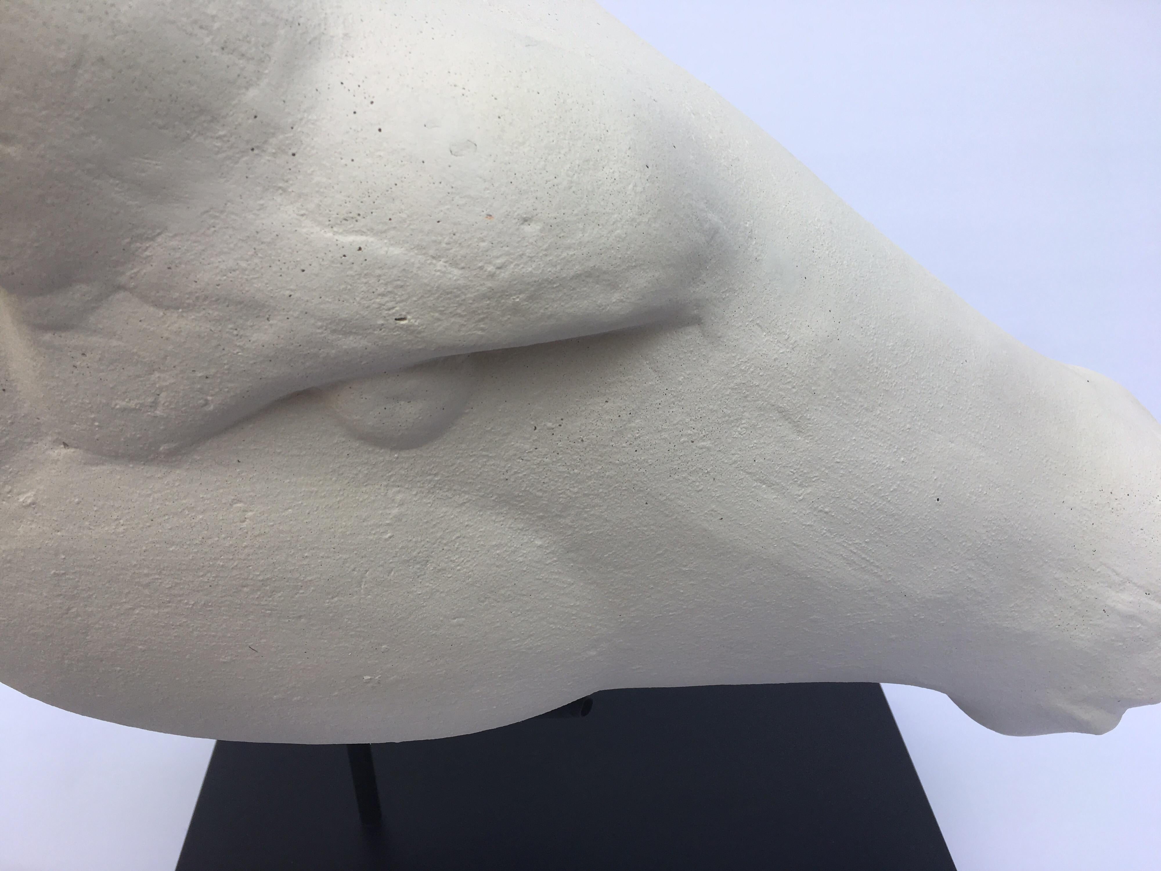 Modern Abstract Plaster Horse Head Bust Sculpture 1