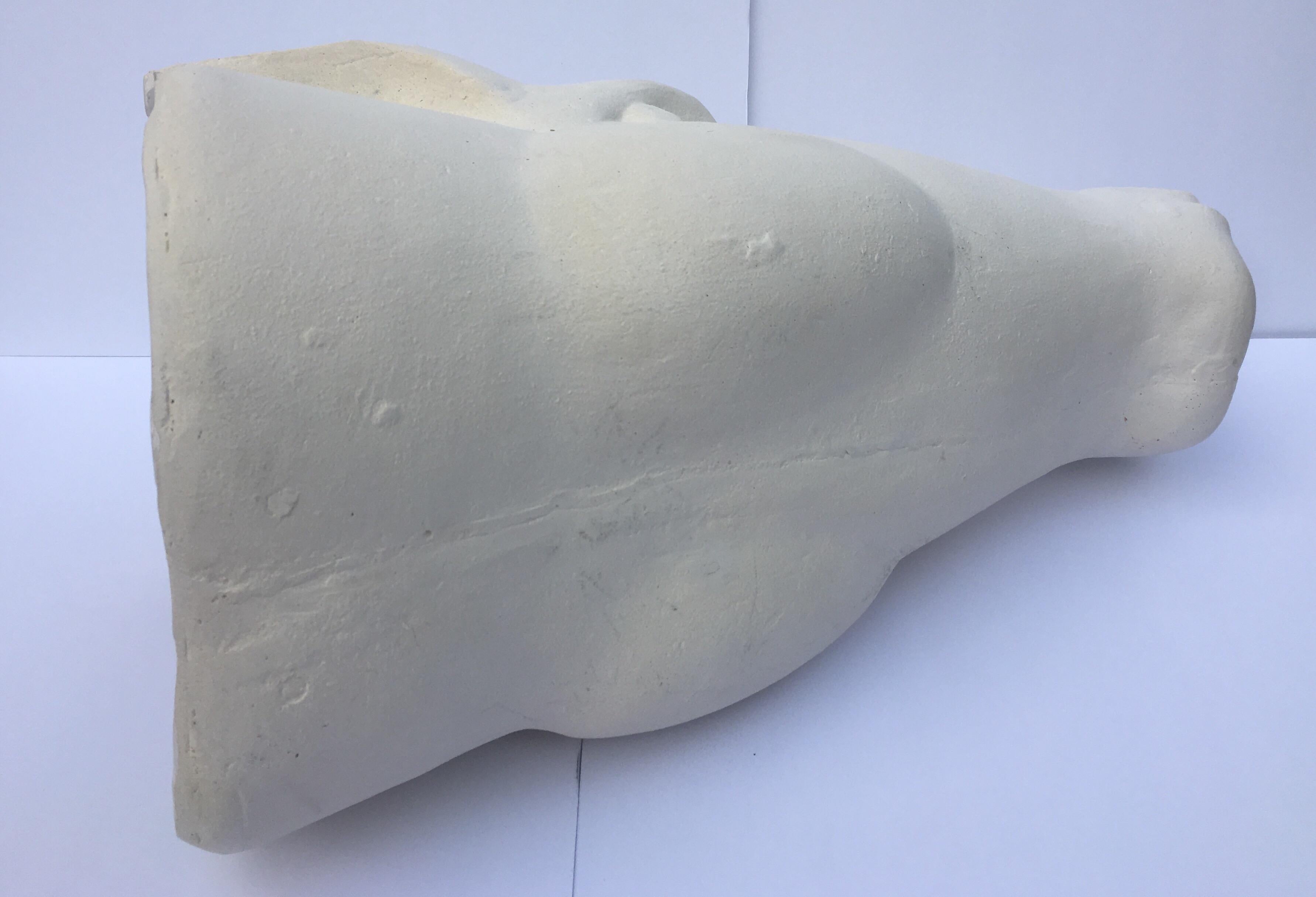Modern Abstract Plaster Horse Head Bust Sculpture 3