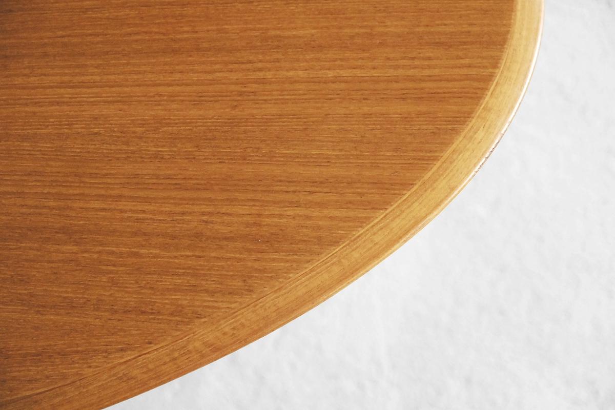 Modern Adjustable Oval Table by J.M. Thomas for Wilhelm Renz, 1960s 3