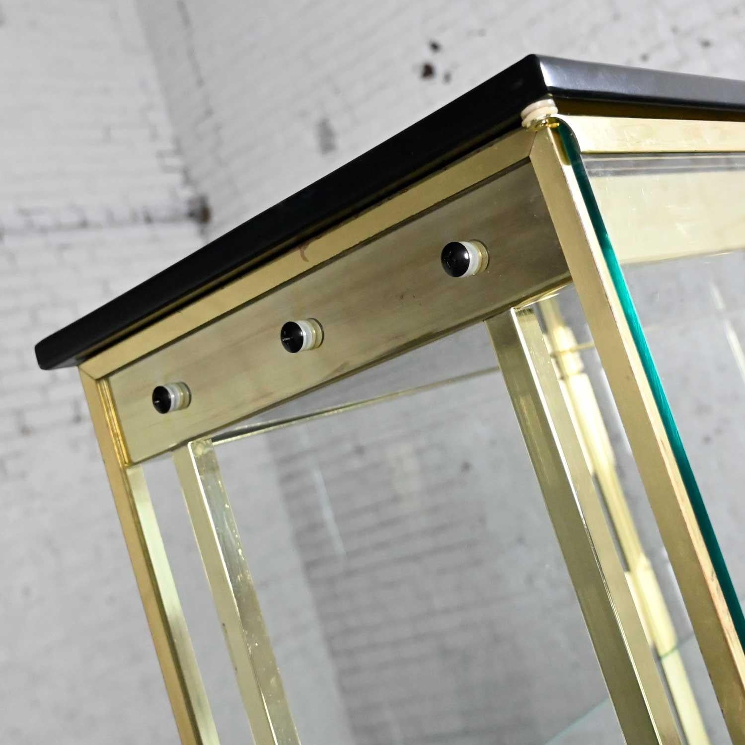 Modern All Glass Lighted Display Cabinet Brass Plated Framework by DIA 5