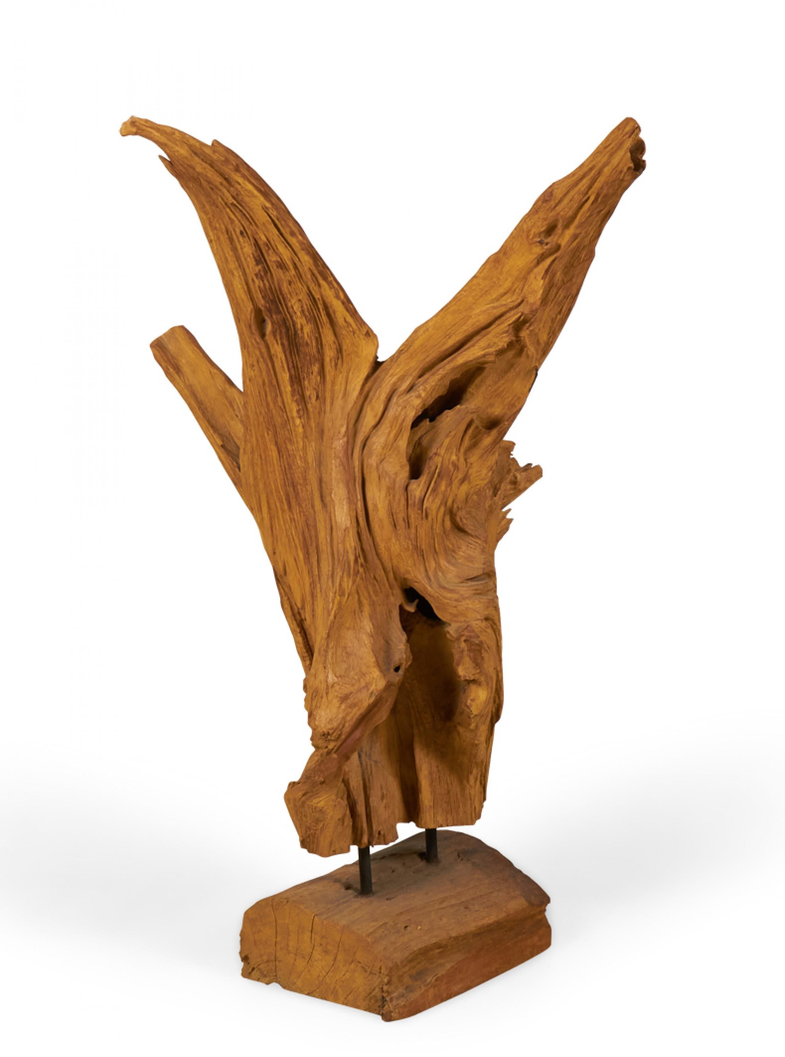Moderne Skulptur, bestehend aus einer organischen Wurzel eines asiatischen Teakbaums, die mit zwei Metallstäben auf einem rechteckigen Holzsockel montiert ist.
