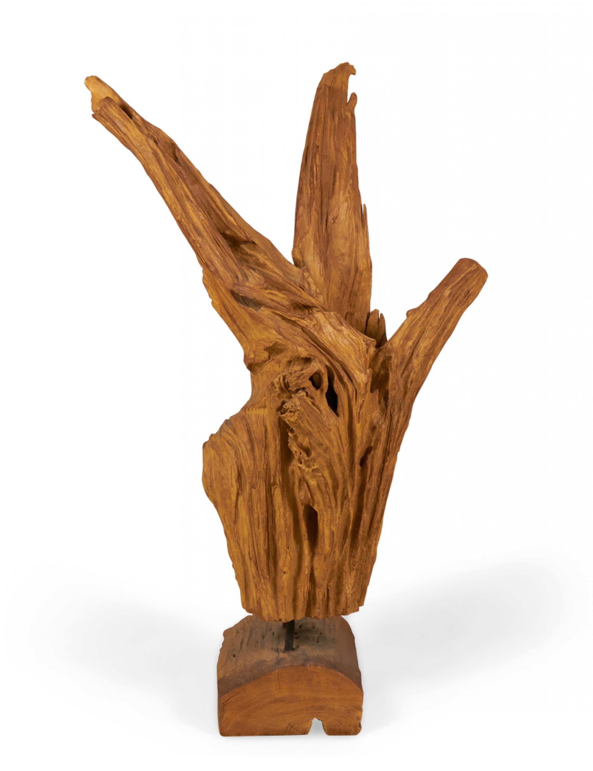 Modern Asian Teak Tree Root Sculpture For Sale 1