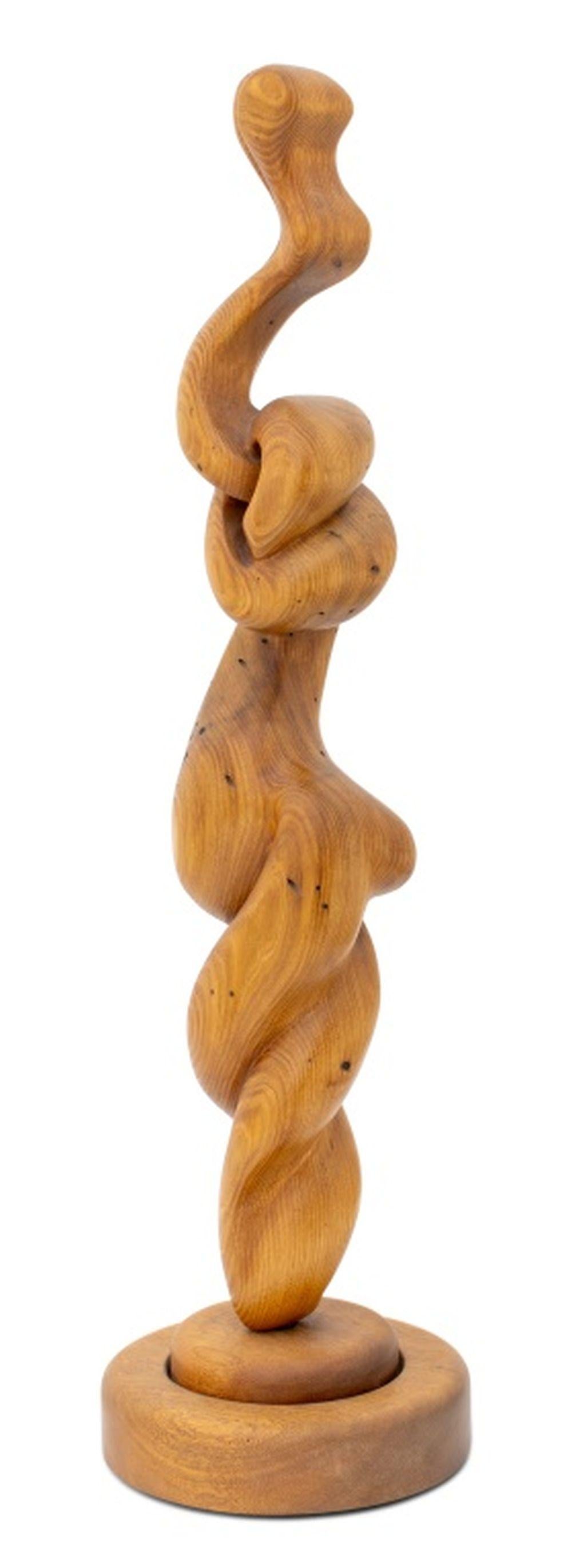 Escultura Biomorfa Moderna de Madera Tallada Tallado en venta