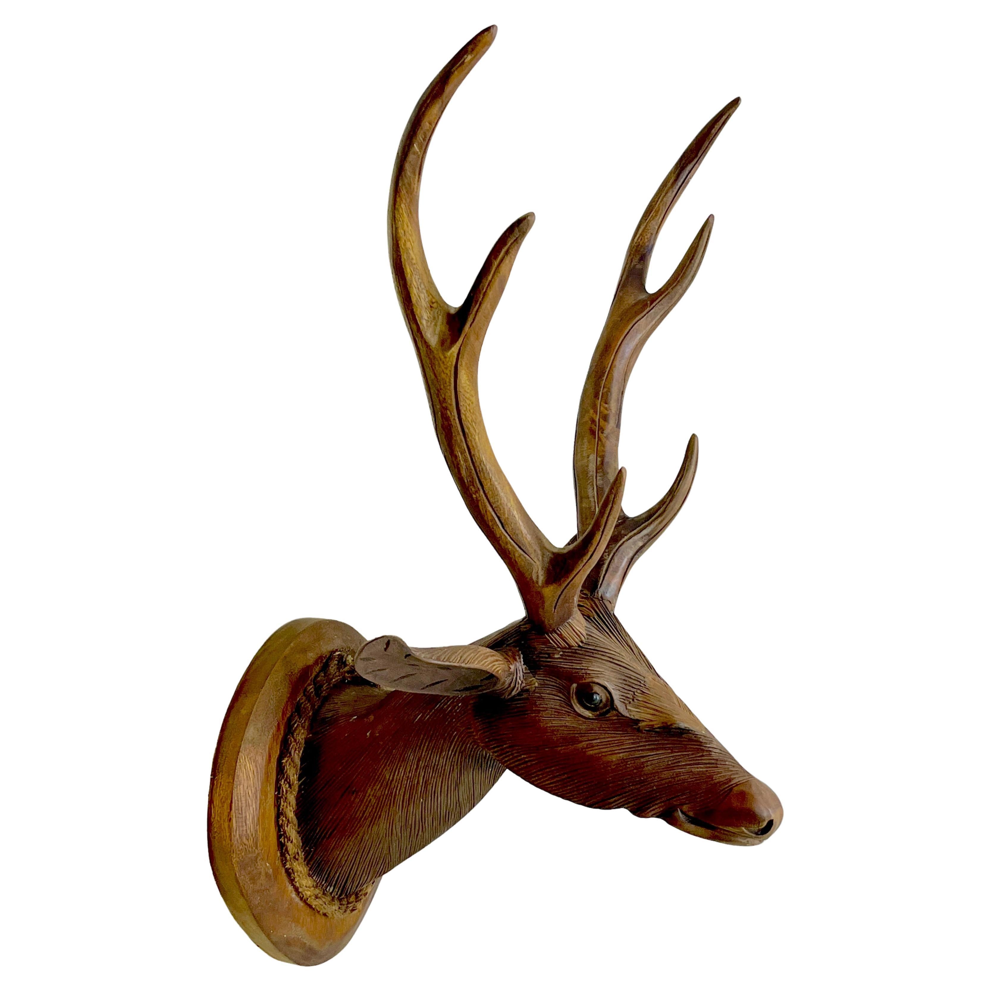 Modern Black Forrest Carved Walnut 6, Point Deer Shoulder Mount For Sale