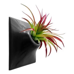 Modern Black Wall Planter, Sculpture, Mid Century Modern Decor, Node 6" Small