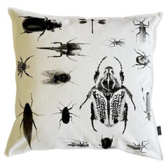 Antique Modern Black/White Monochromatic Insect Image Cotton Pillow made in South Africa