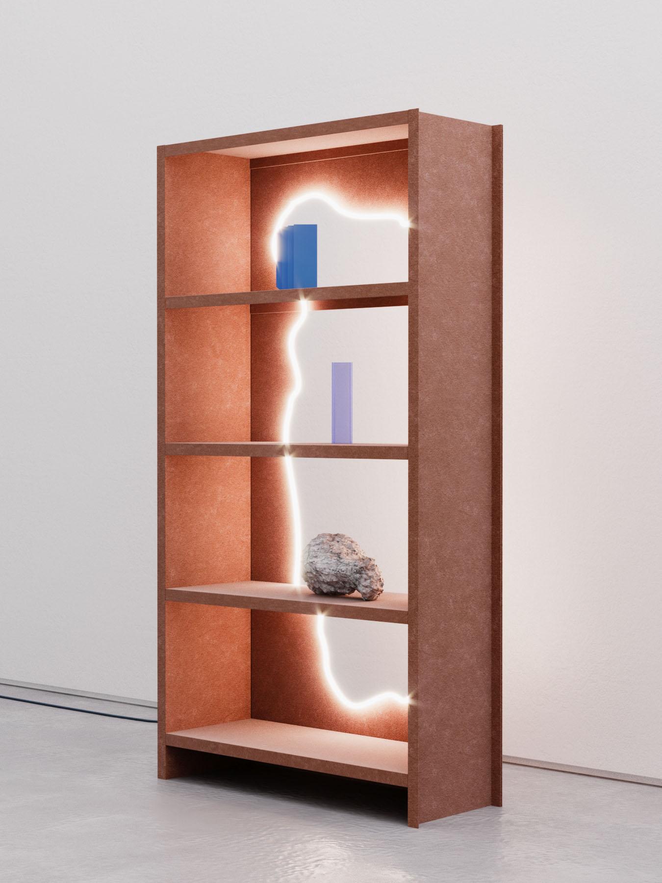fancy bookcases