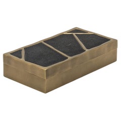 Scatola moderna in zigrino nero con ottone patinato bronzo di R&Y Augousti