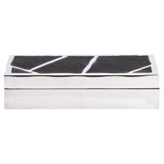 Modern Box in Black Shagreen with Polished Stainless Steel by R&Y Augousti