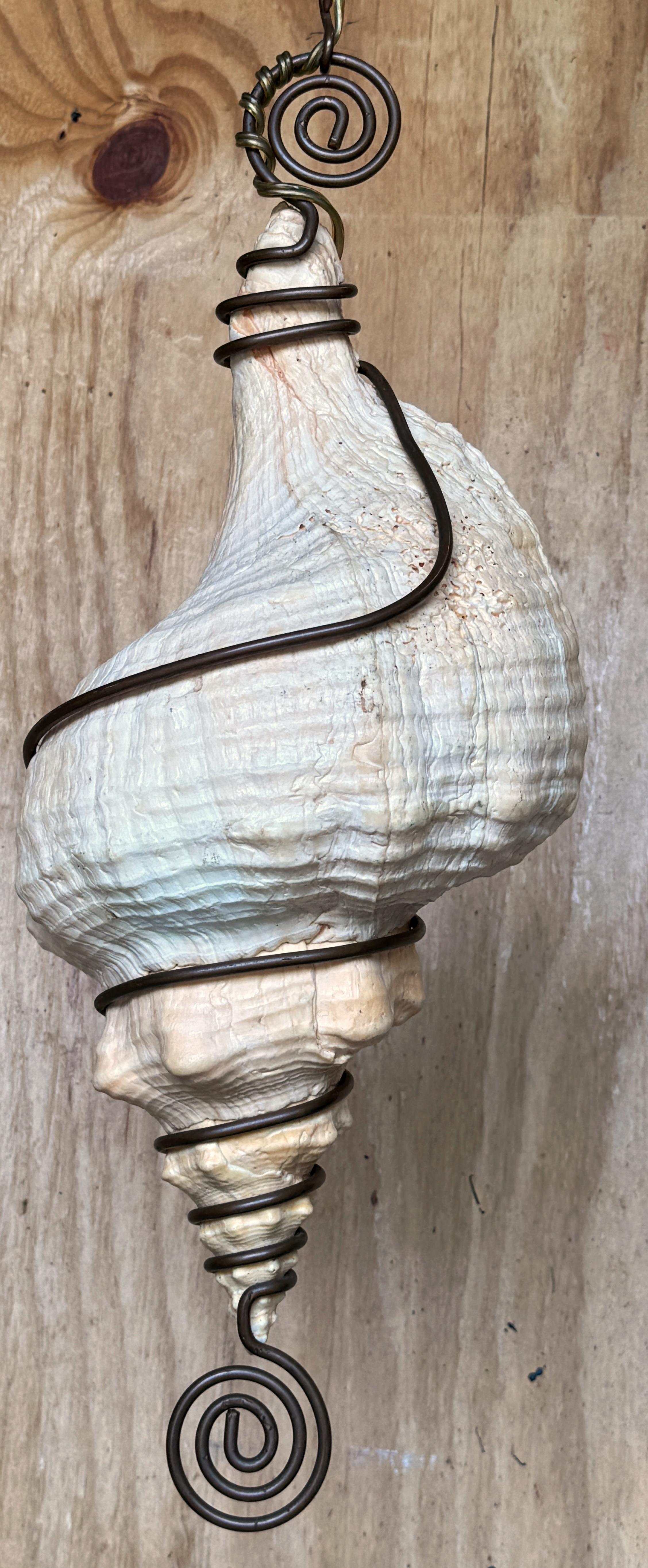 The Moderns Chandelier /Pendentif en forme de coquille de conque monté sur bronze en vente 2