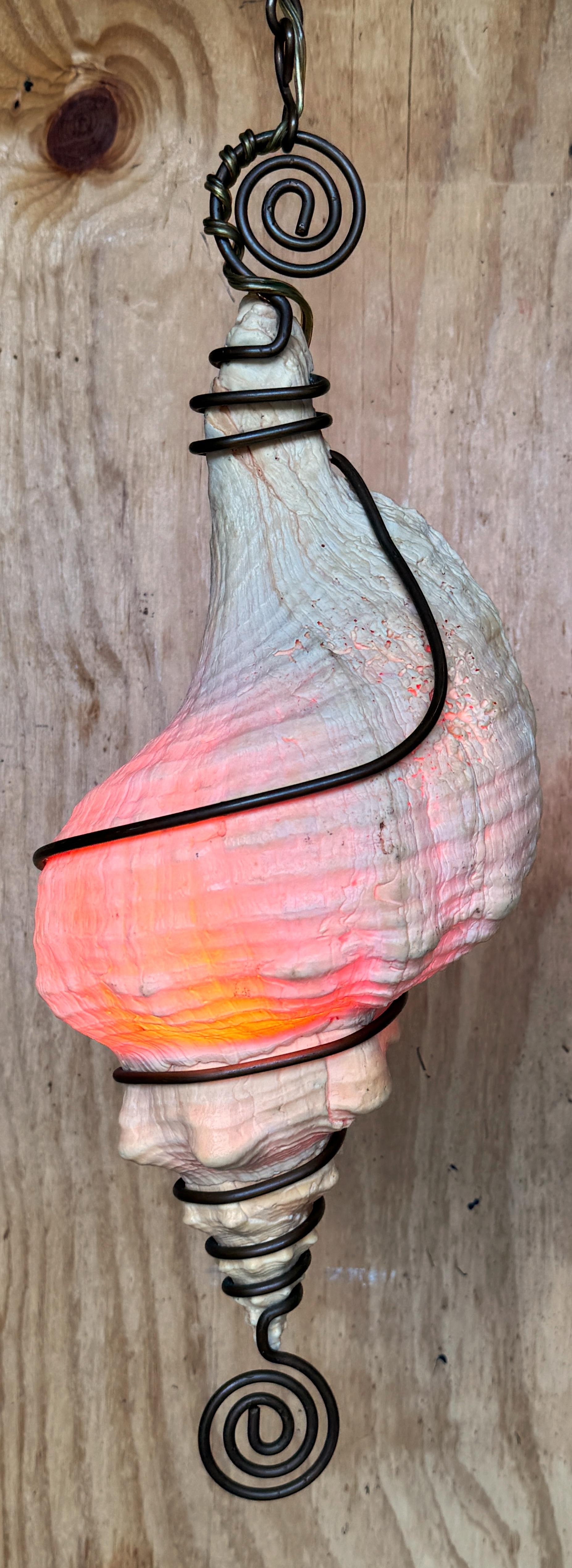 The Moderns Chandelier /Pendentif en forme de coquille de conque monté sur bronze en vente 4