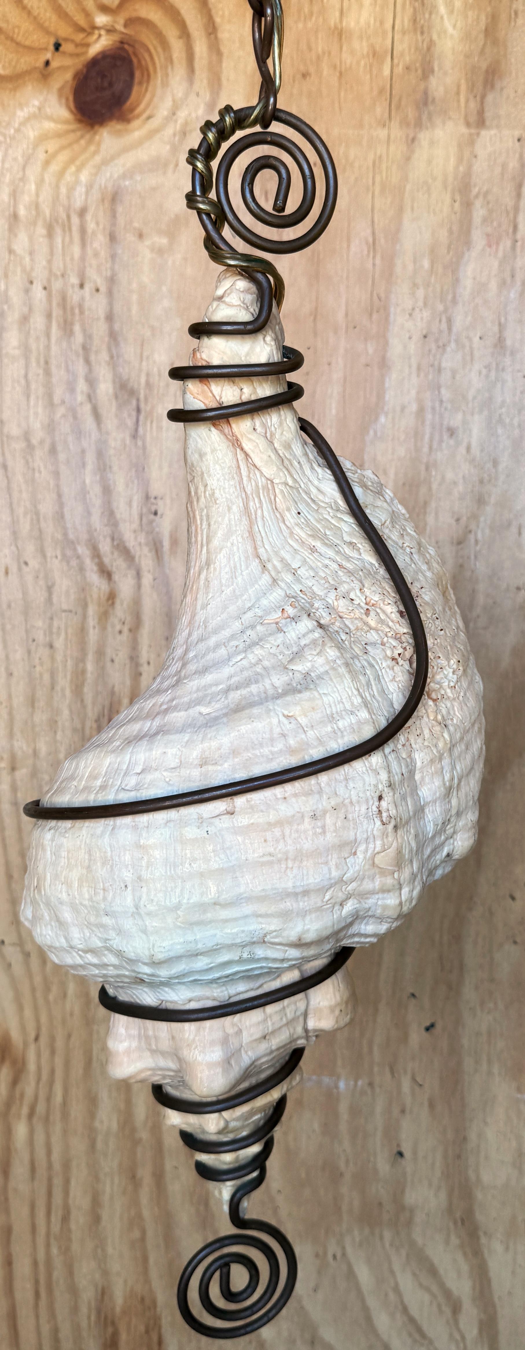Américain The Moderns Chandelier /Pendentif en forme de coquille de conque monté sur bronze en vente