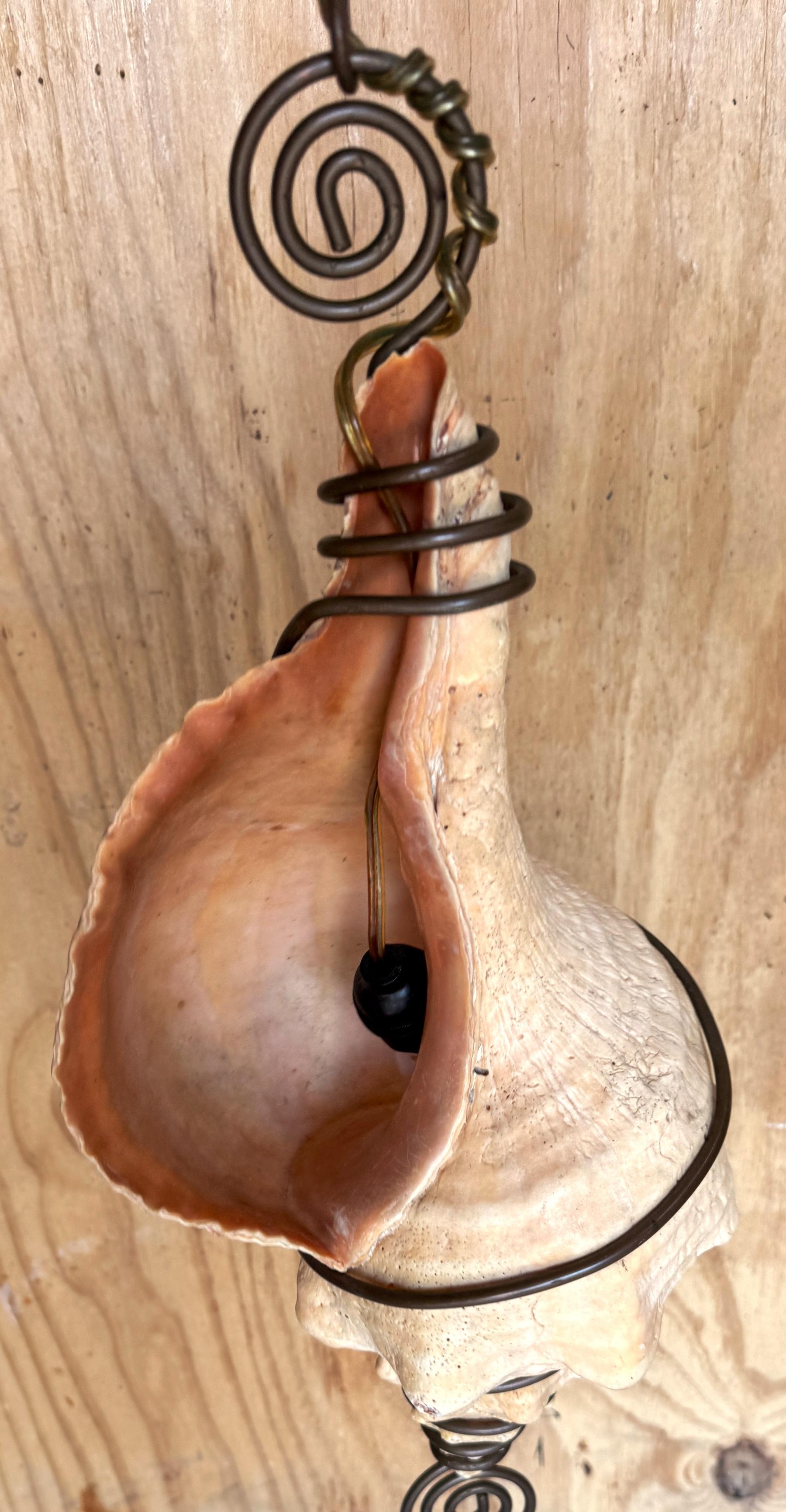 The Moderns Chandelier /Pendentif en forme de coquille de conque monté sur bronze en vente 1