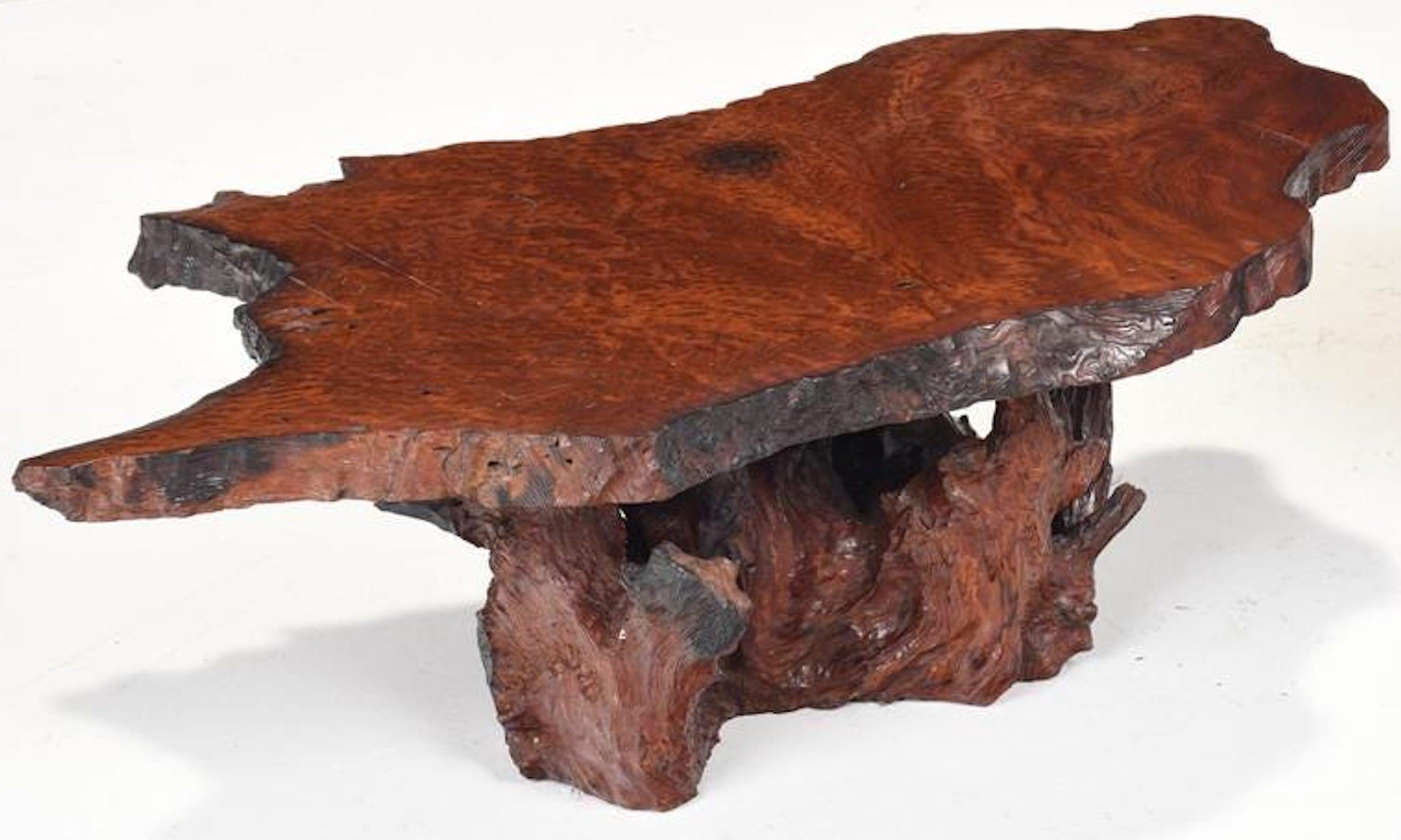 Modern Burl Live Edge coffee table, larger 
With thick natural live edge specimen burlwood, raised on natural root base. 
At the time of posting we have two similar tables this work is slightly larger, the smaller one is LU1943324840842.
 