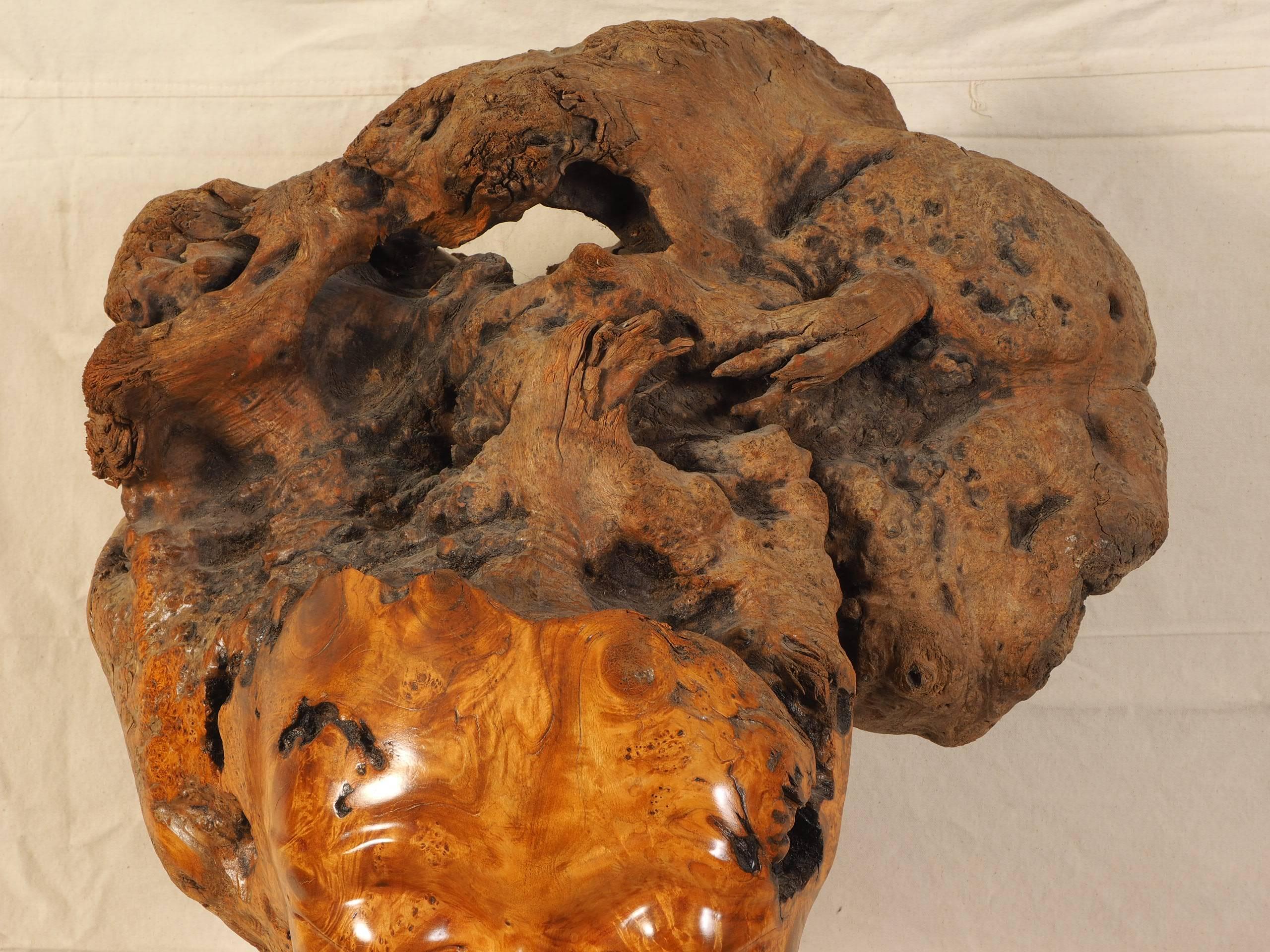 Modern Carved Burl Wood Sculpture by Sig de Tonancour For Sale 1