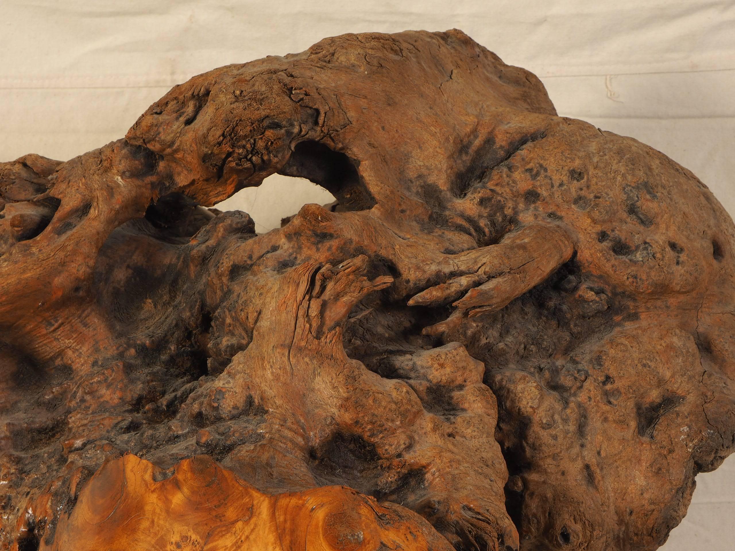 Modern Carved Burl Wood Sculpture by Sig de Tonancour For Sale 2