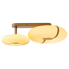 Metal Flush Mount