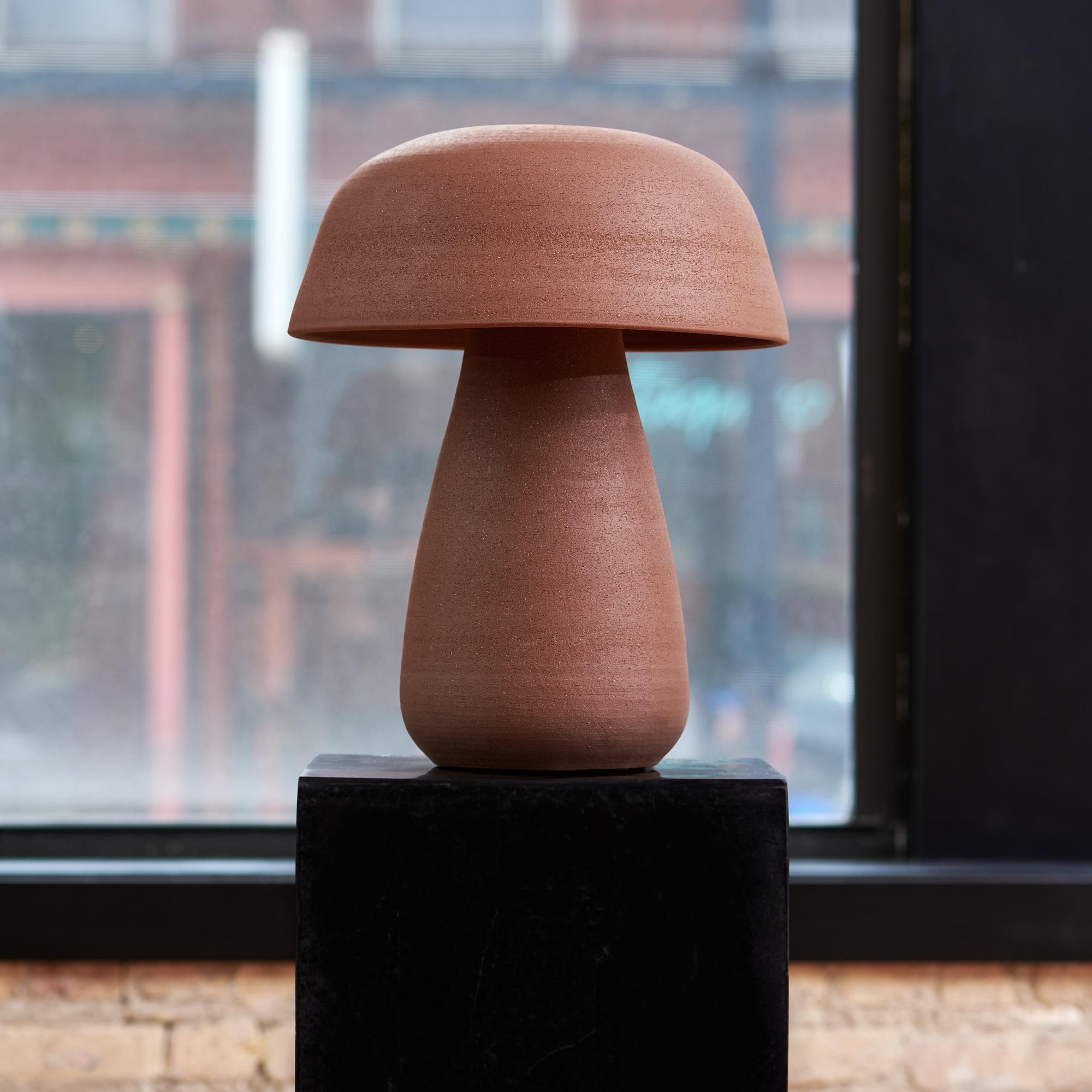 A hand-thrown ceramic lamp that is comprised of two pieces. Using a ball joint design, the upper rests on the base allowing for movement of the light in any direction. This helps the user shift the shade as needed, creating an experience that is