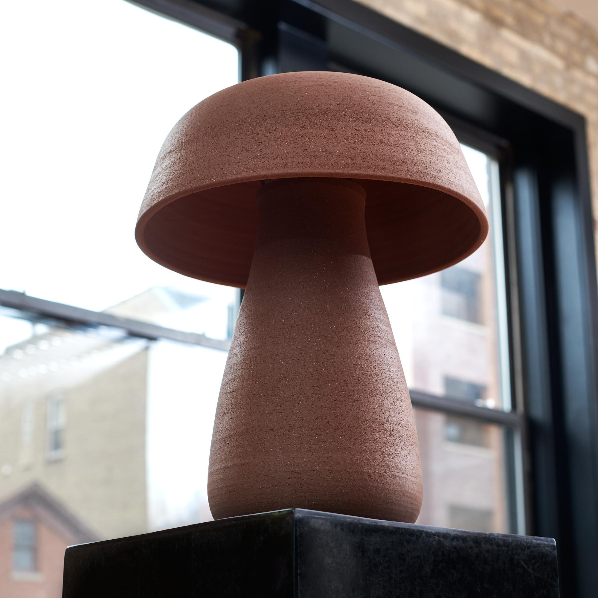 brown mushroom lamp