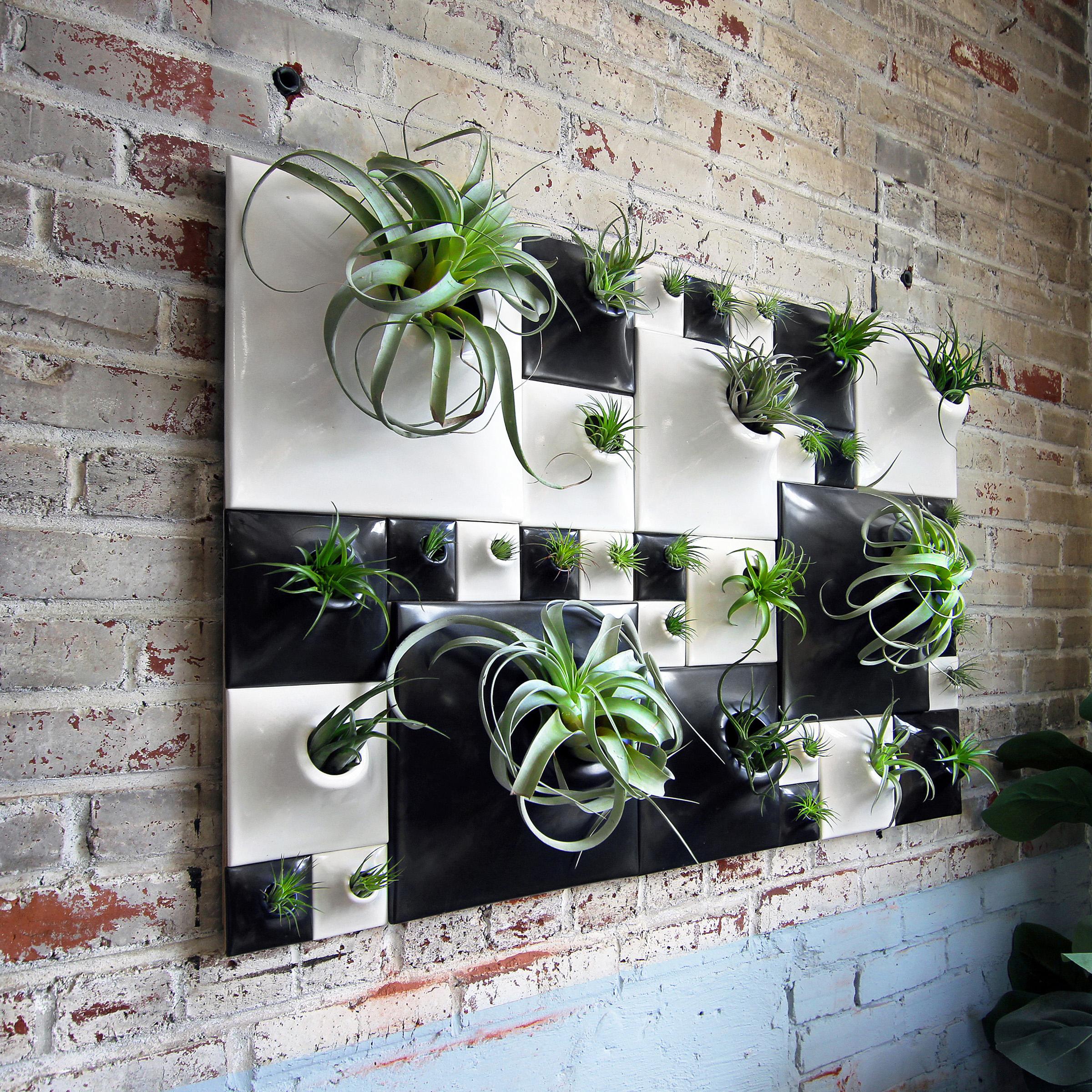 Introducing the next level of living wall!  Create your own undulating sculptural greenwall in your home, restaurant, or office.  Dazzle your senses with this dynamic experiential living wall decor and add some excitement and modern design to any