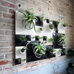 Modern Ceramic Greenwall - Living Wall Decor - Plant Wall - Price per sq ft