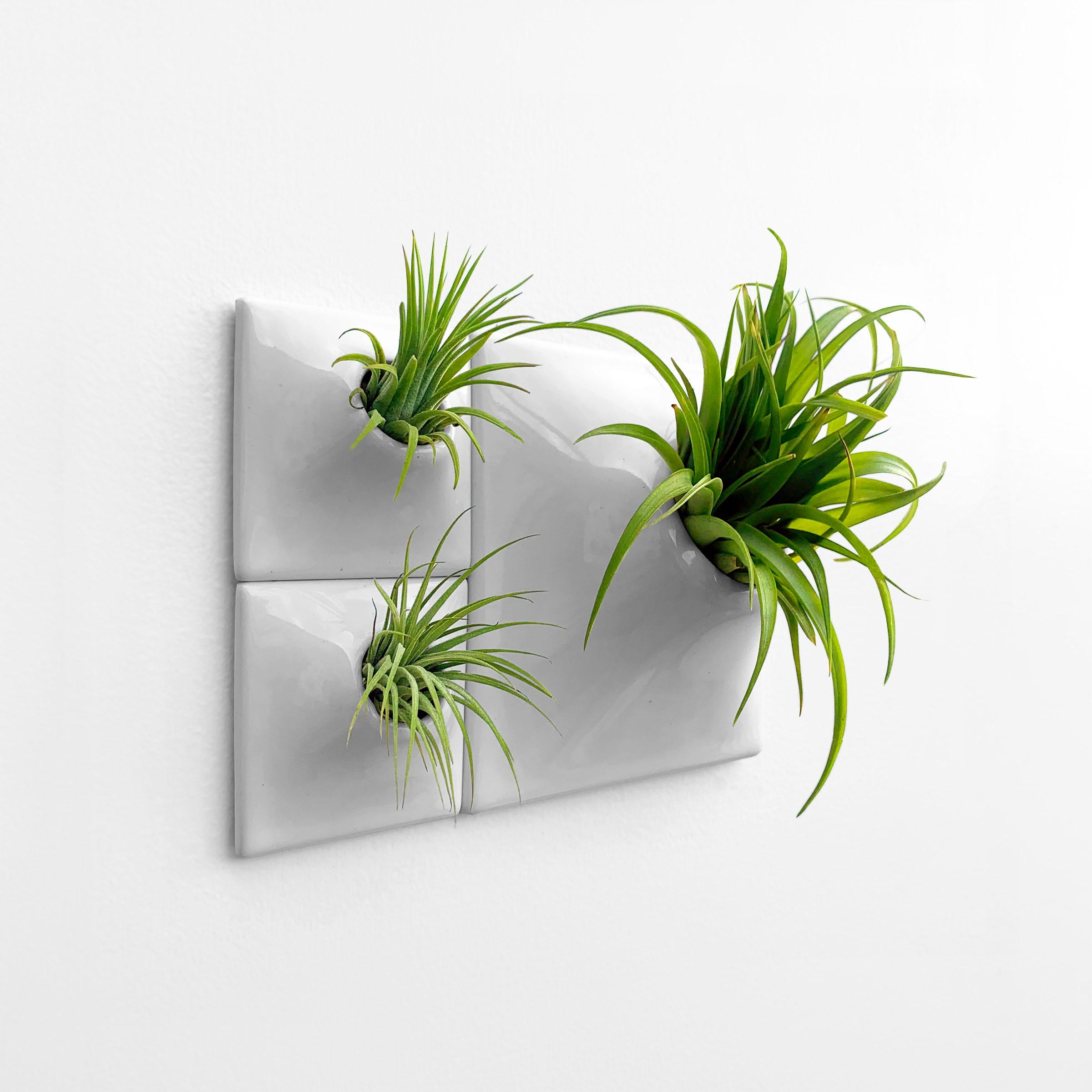 Modern Gray Wall Planter Set, Mid Century Modern Decor, Moss Wall Art, Node BR1L

Add a modular plant wall or moss wall to your modern home or home office with this compact and sculptural Node Wall Planter set. Create an enclave of green living wall