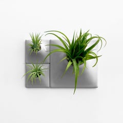 Modern Gray Wall Planter Set, Mid Century Modern Decor, Moss Wall Art, Node BR1M