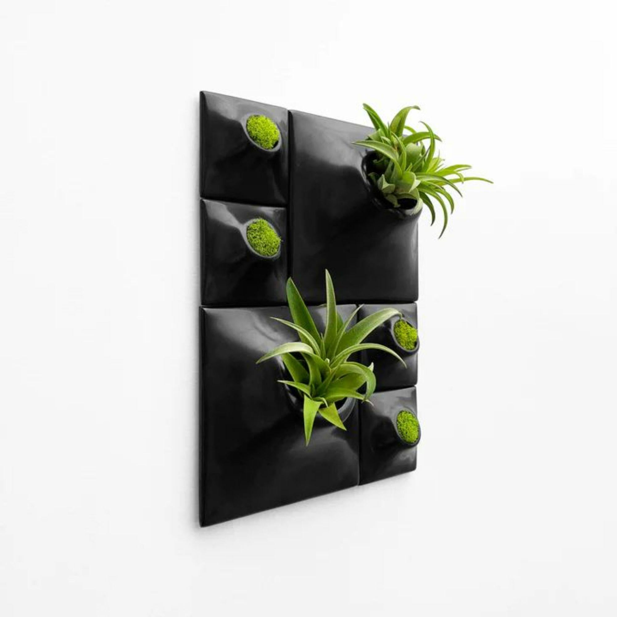Modern Black Wall Planter Set, Living Wall Sculpture, Moss Wall Art, Node BR2

Add a breathtaking modular plant wall or modern moss wall to any space with this eye catching Node Wall Planter set.  Elevate your home decor with living modern wall art