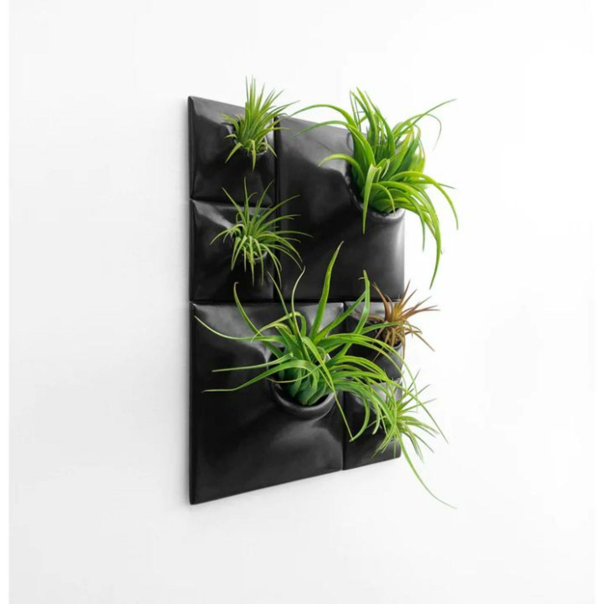 American Modern Black Wall Planter Set, Living Wall Sculpture, Moss Wall Art, Node BR2 For Sale