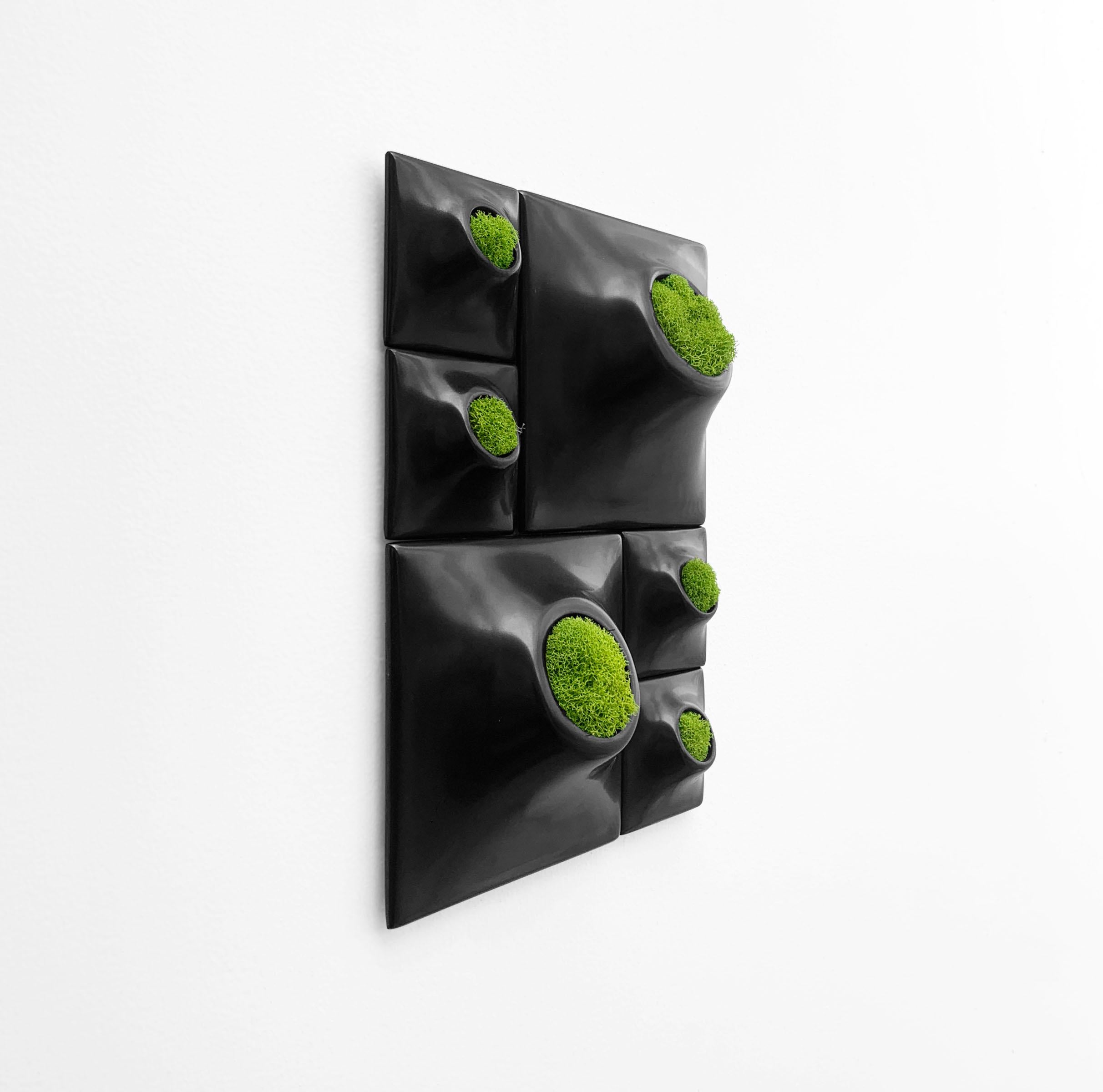 Modern Black Wall Planter Set, Living Wall Sculpture, Moss Wall Art, Node BR2 In New Condition For Sale In Bridgeport, PA