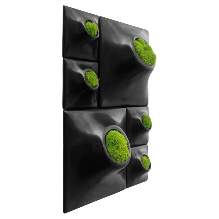 Modern Black Wall Planter Set, Living Wall Sculpture, Moss Wall Art