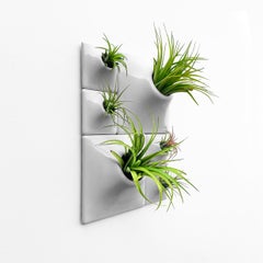 Modern Gray Wall Planter Set, Living Wall Sculpture, Moss Wall Art, Node BR2L