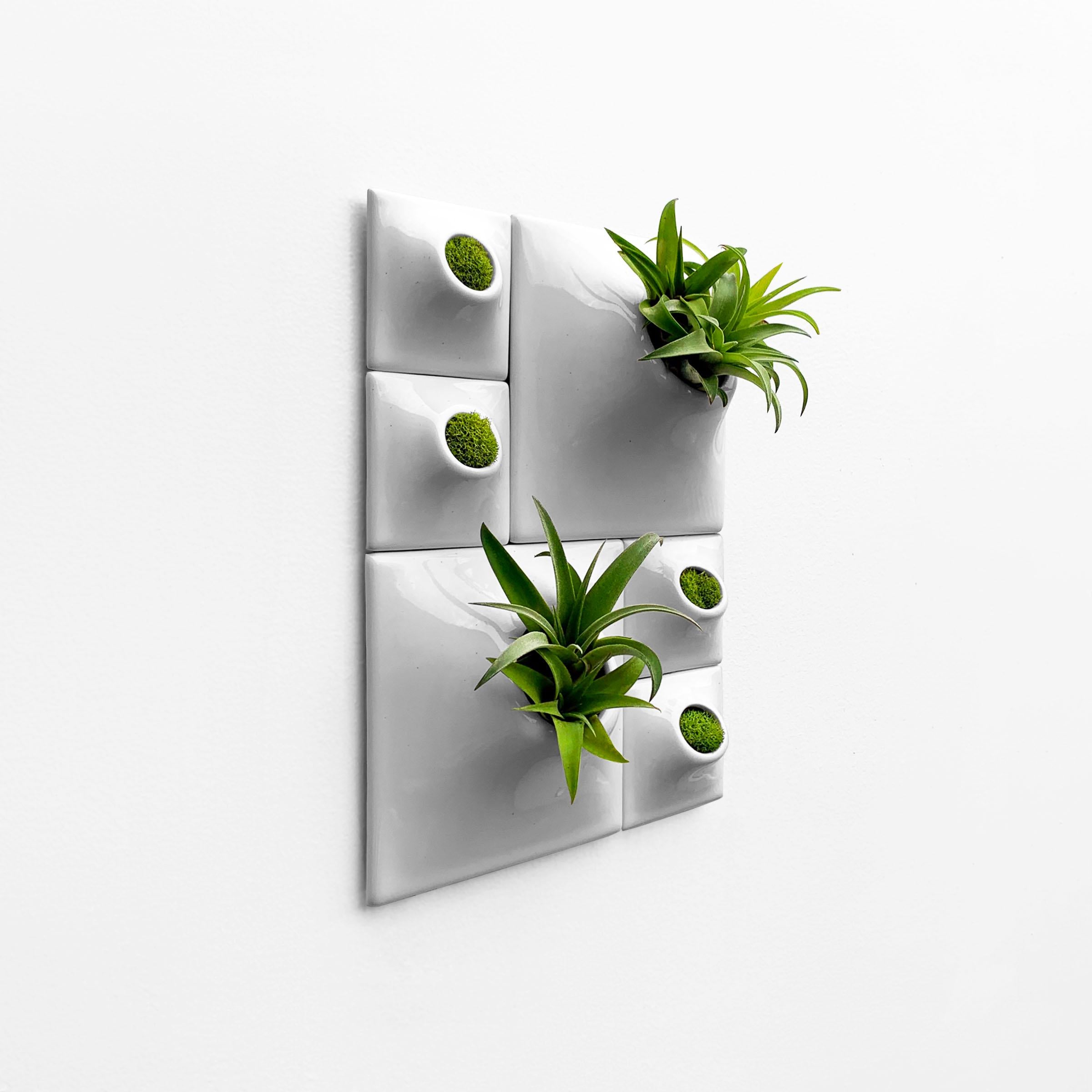 Modern Gray Wall Planter Set, Living Wall Sculpture, Moss Wall Art, Node BR2L In New Condition For Sale In Bridgeport, PA