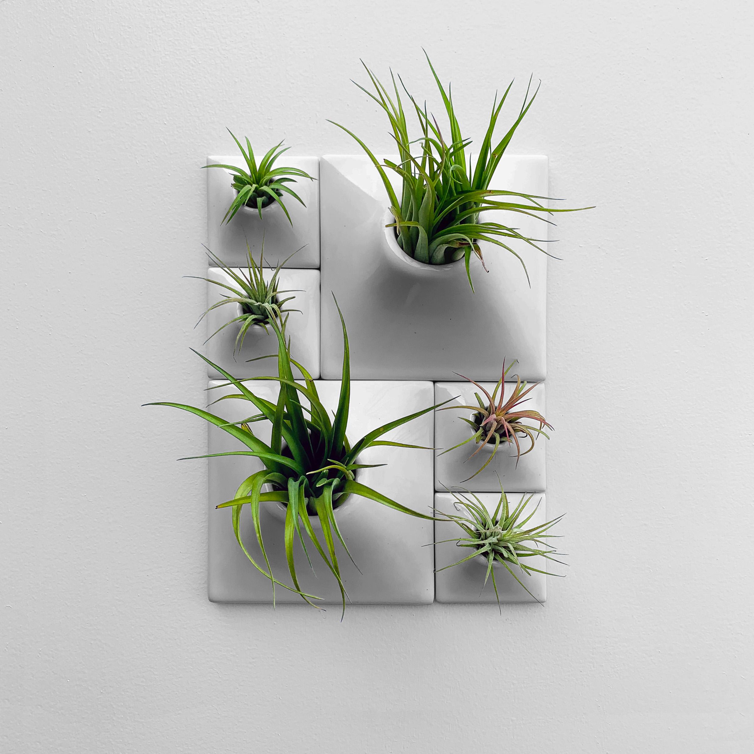 Contemporary Modern Gray Wall Planter Set, Living Wall Sculpture, Moss Wall Art, Node BR2L For Sale