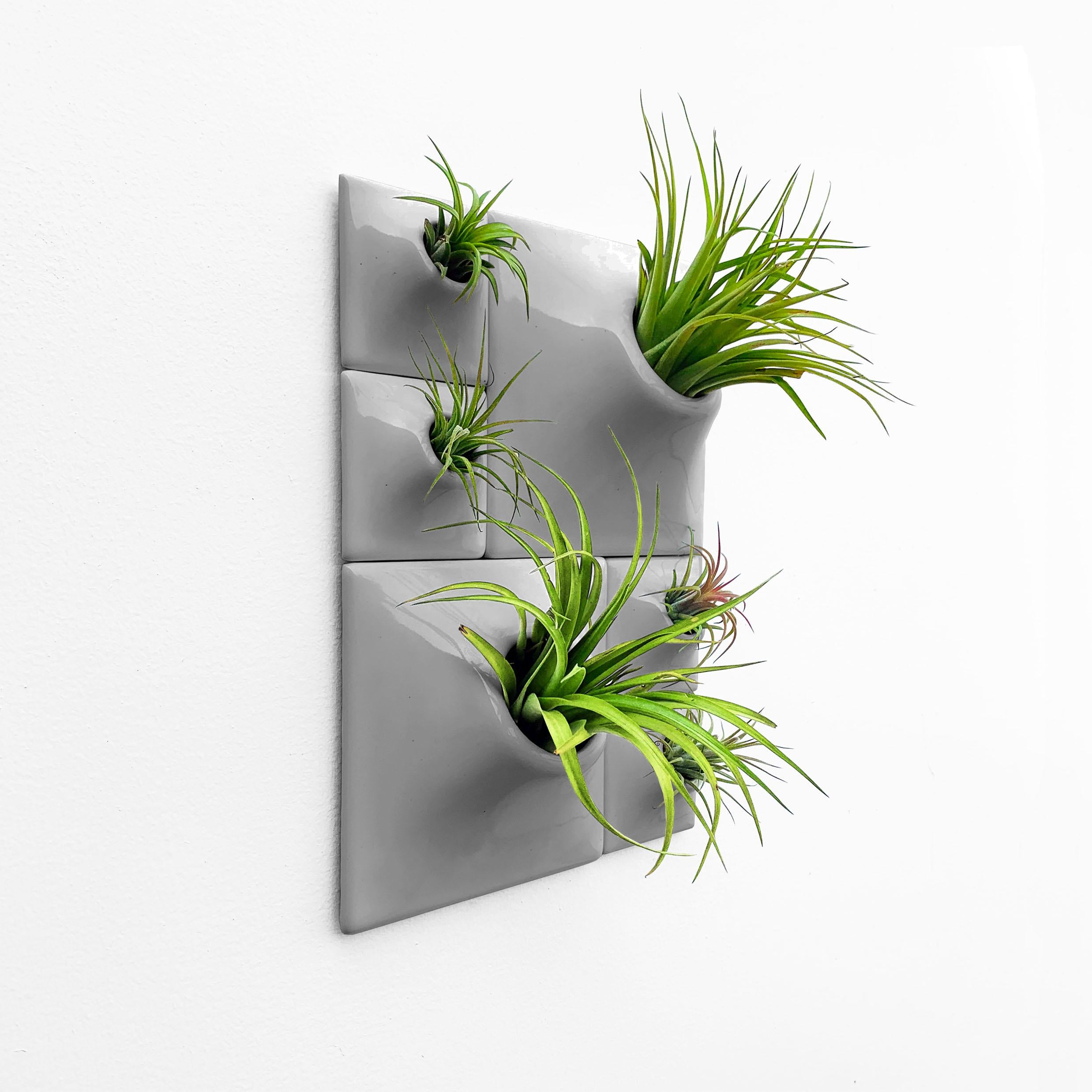 Modern Gray Wall Planter Set, Living Wall Sculpture, Moss Wall Art, Node BR2M In New Condition For Sale In Bridgeport, PA