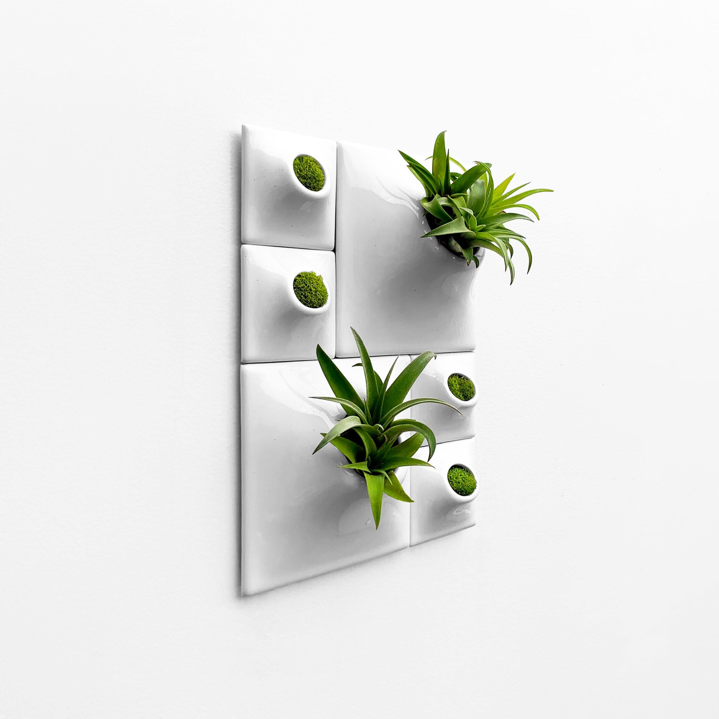 Modern White Wall Planter Set, Living Wall Sculpture, Moss Wall Art, Node BR2 In New Condition For Sale In Bridgeport, PA
