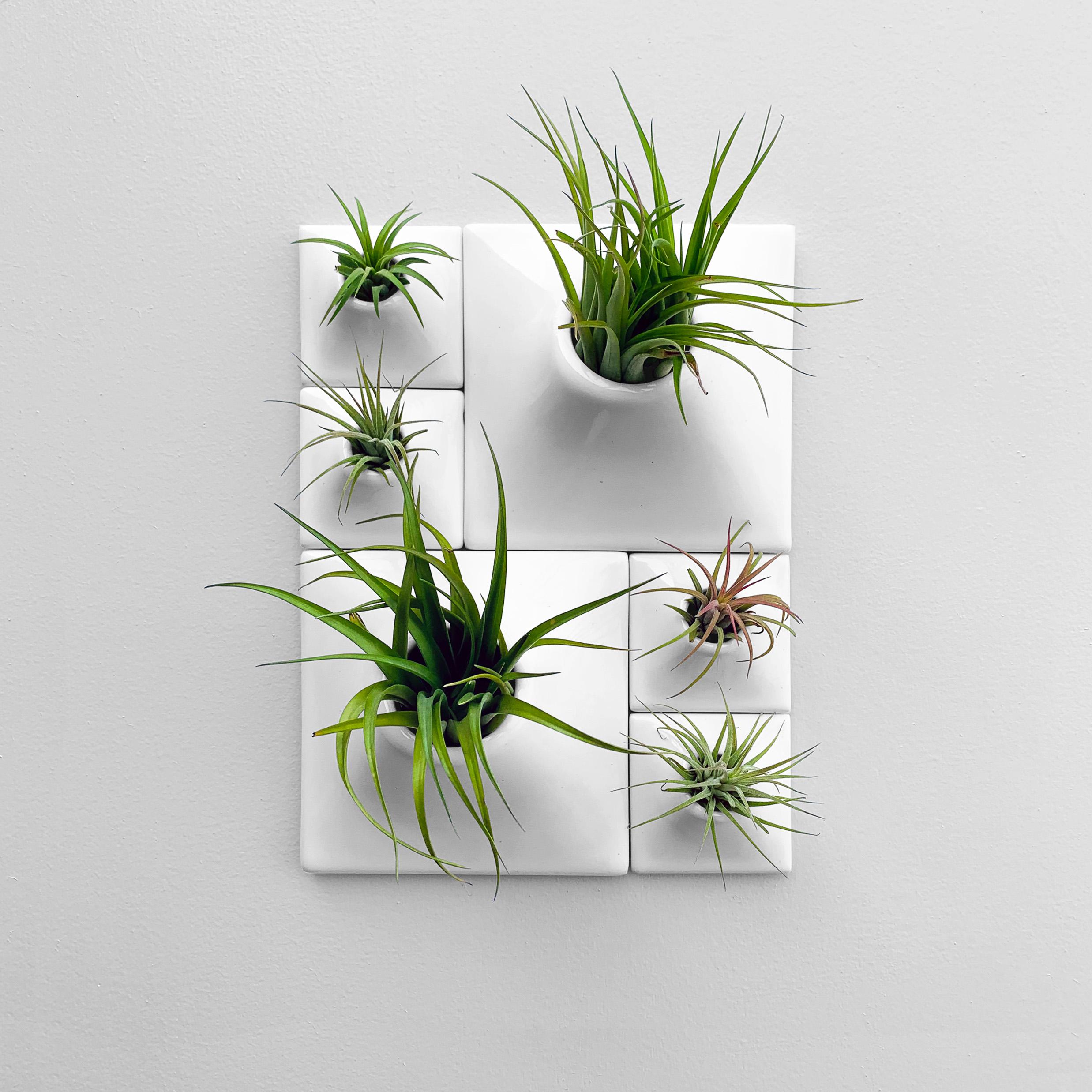 Contemporary Modern White Wall Planter Set, Living Wall Sculpture, Moss Wall Art, Node BR2 For Sale